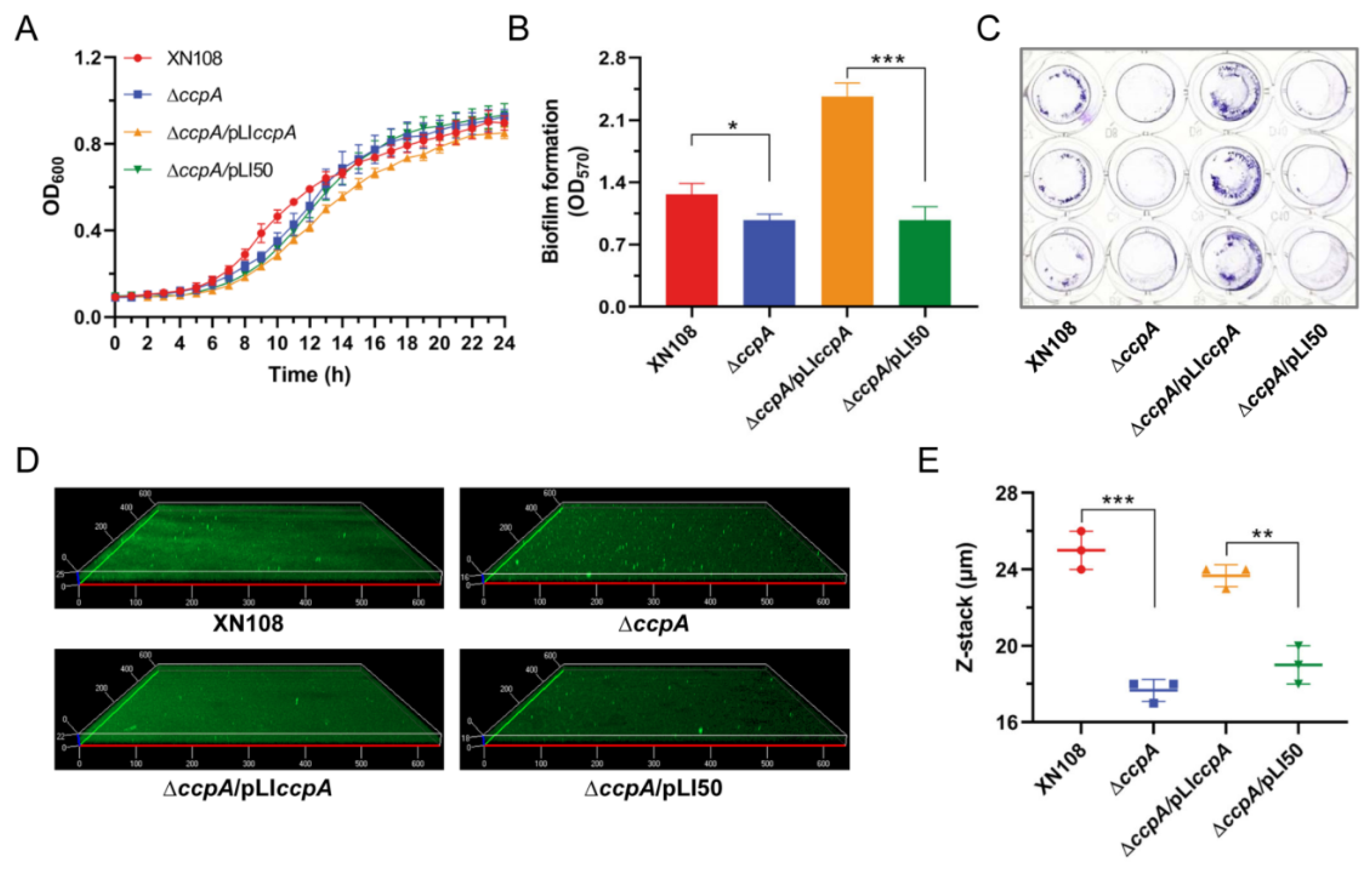 Antibiotics 11 01426 g001 Antibiotics 11 01426 g001