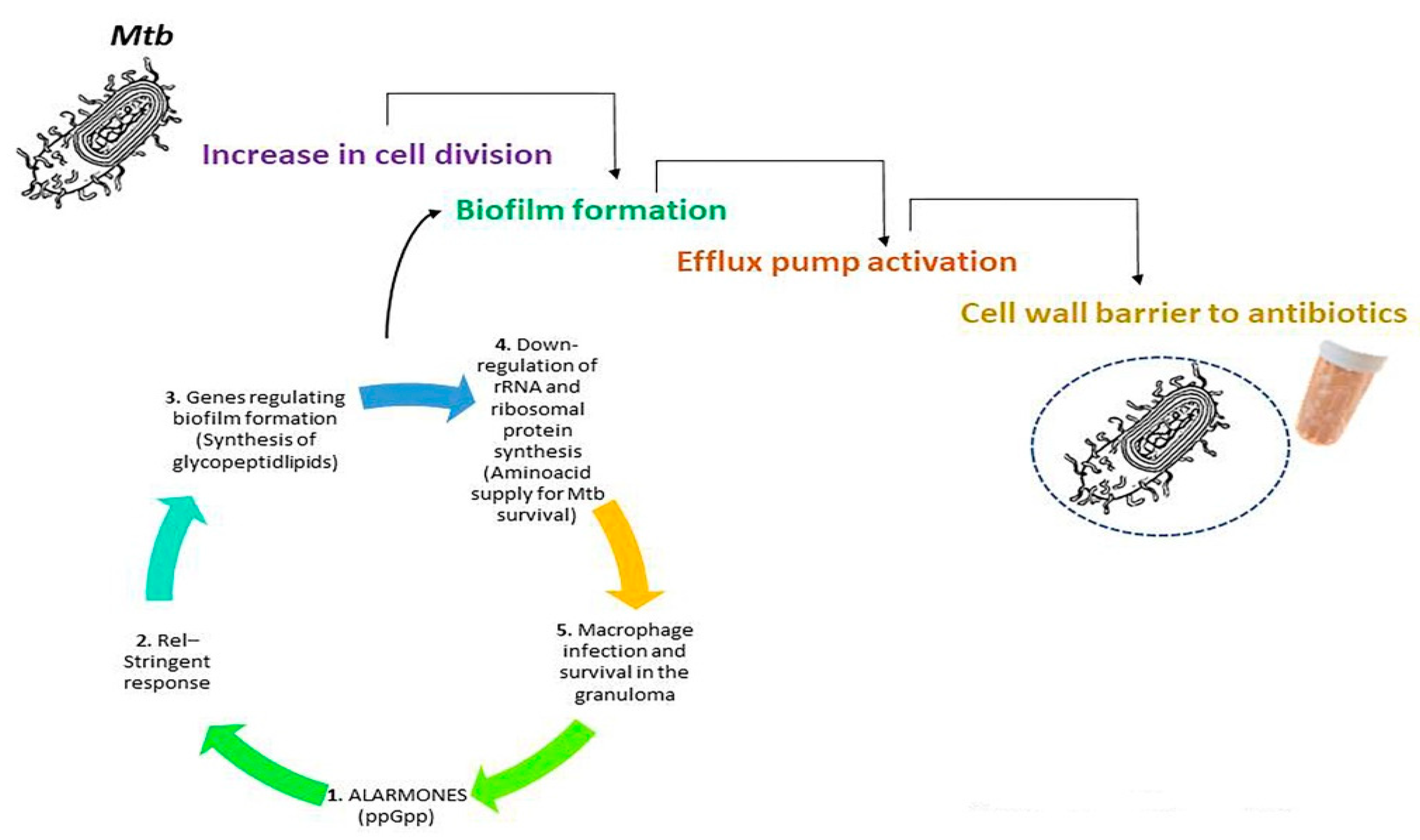 Antibiotics 11 01431 g002 Antibiotics 11 01431 g002