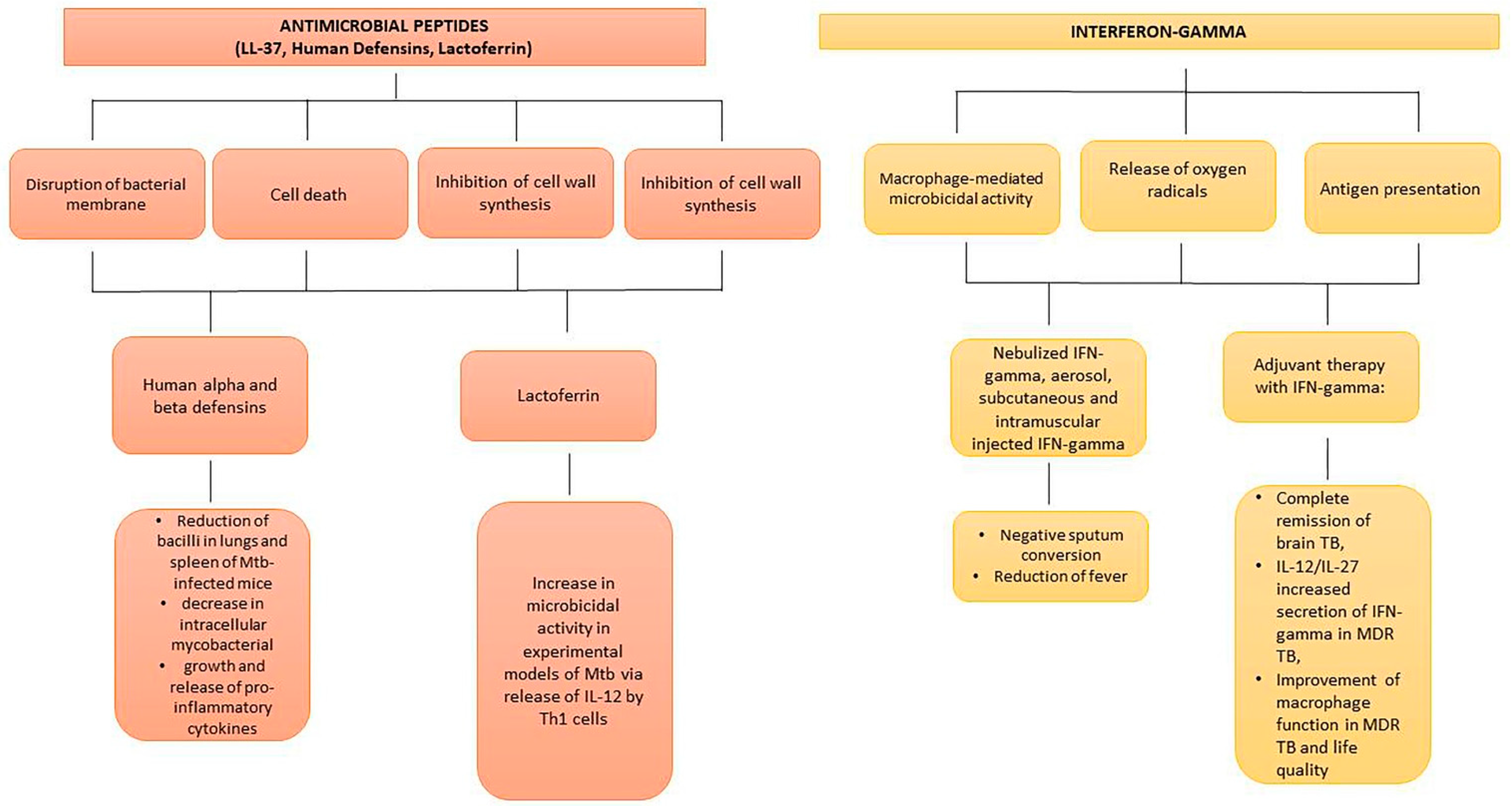 Antibiotics 11 01431 g004 Antibiotics 11 01431 g004