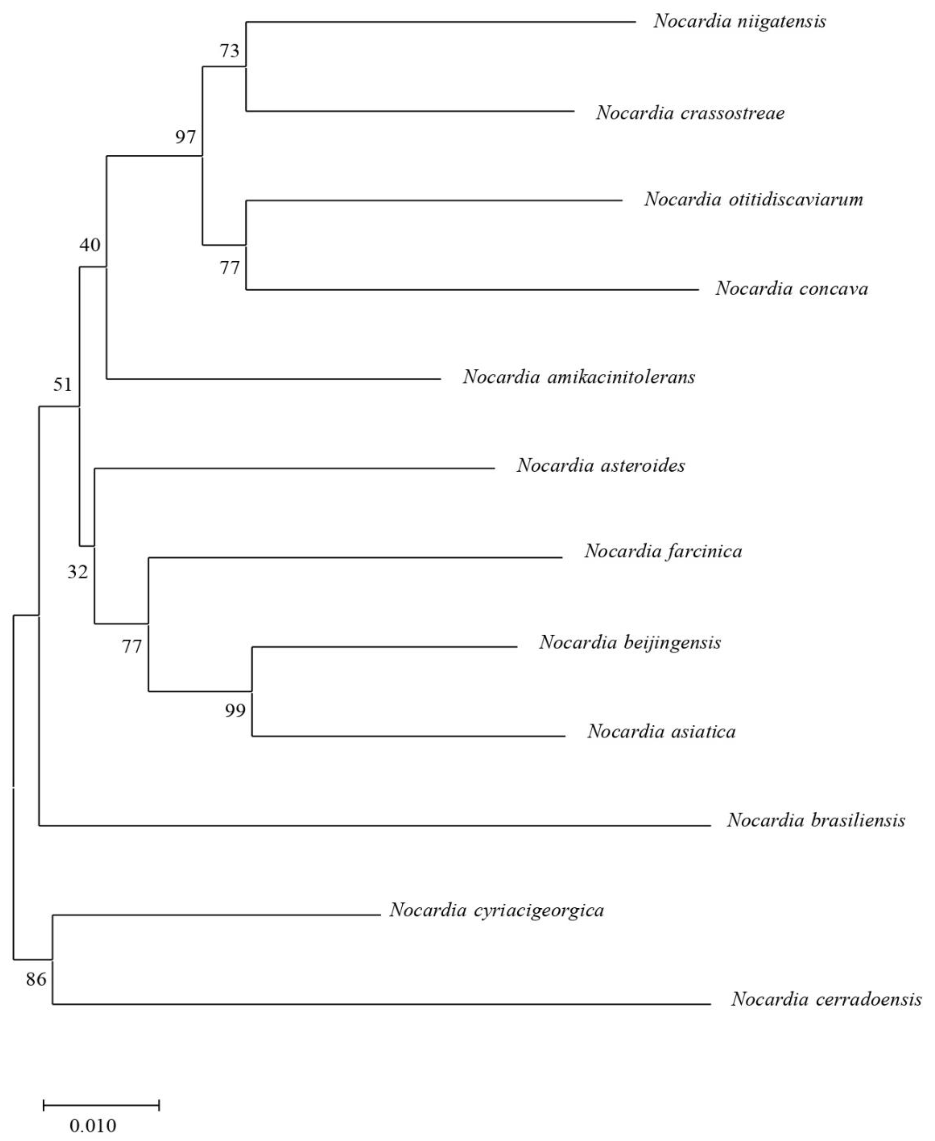 Antibiotics 11 01438 g004 Antibiotics 11 01438 g004