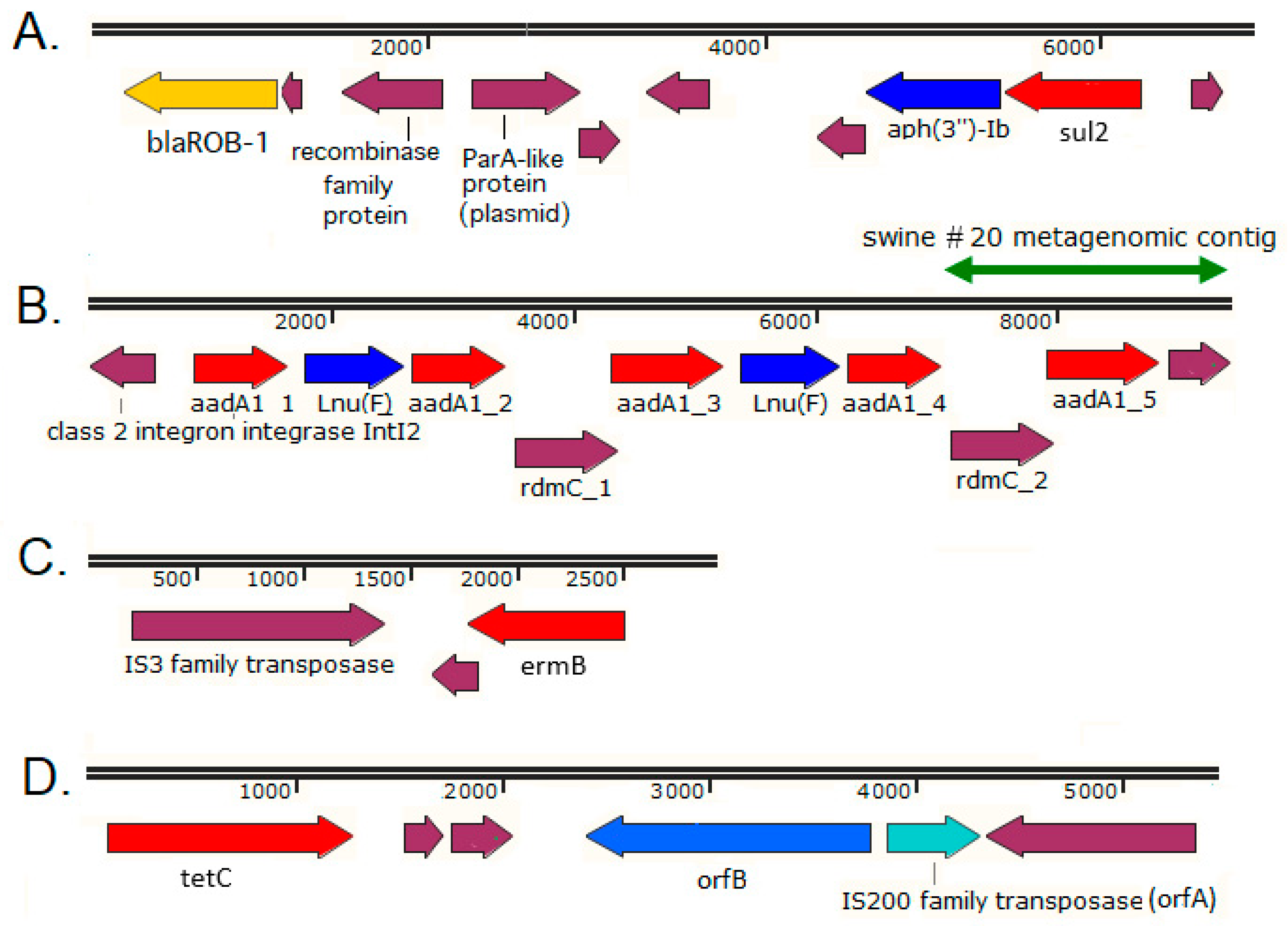 Antibiotics 11 01441 g003 Antibiotics 11 01441 g003