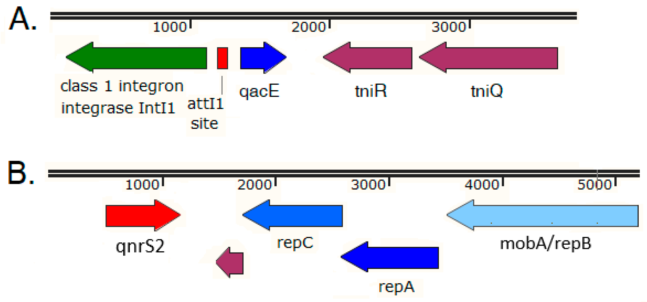 Antibiotics 11 01441 g004 Antibiotics 11 01441 g004