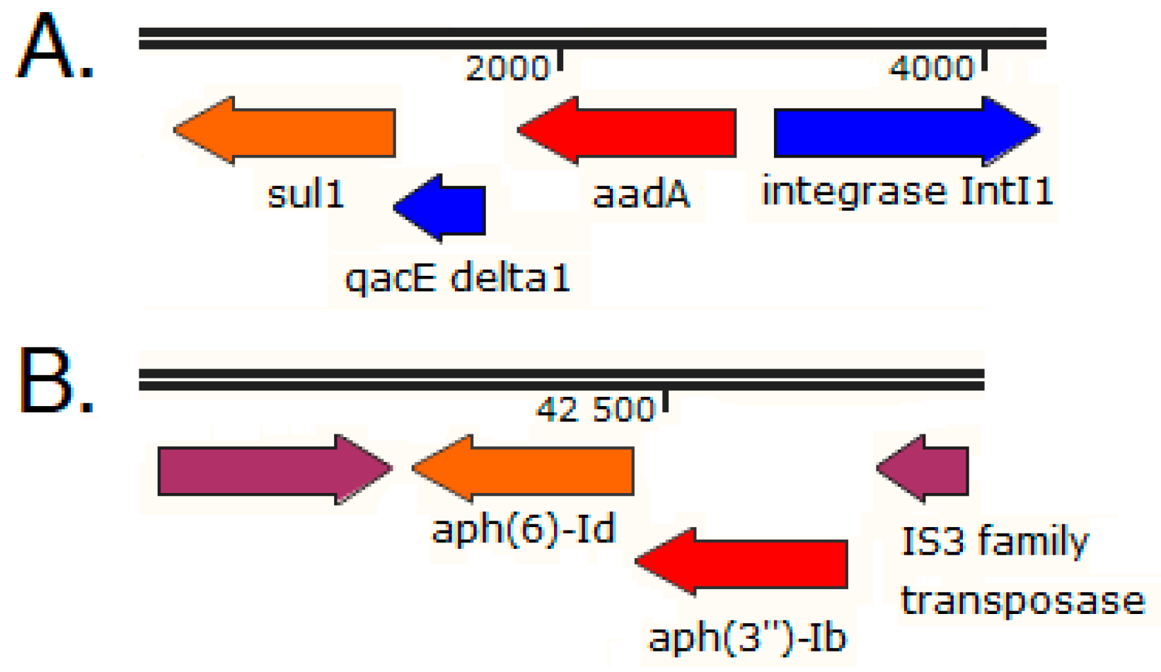 Antibiotics 11 01441 g006 Antibiotics 11 01441 g006
