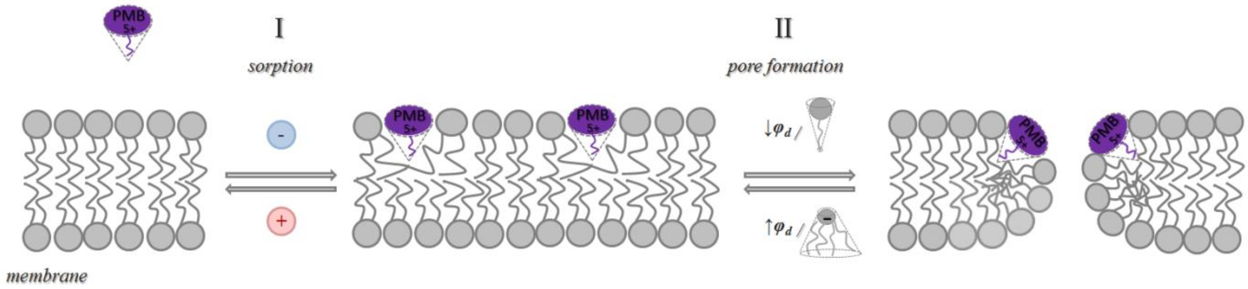Antibiotics 11 01445 g006