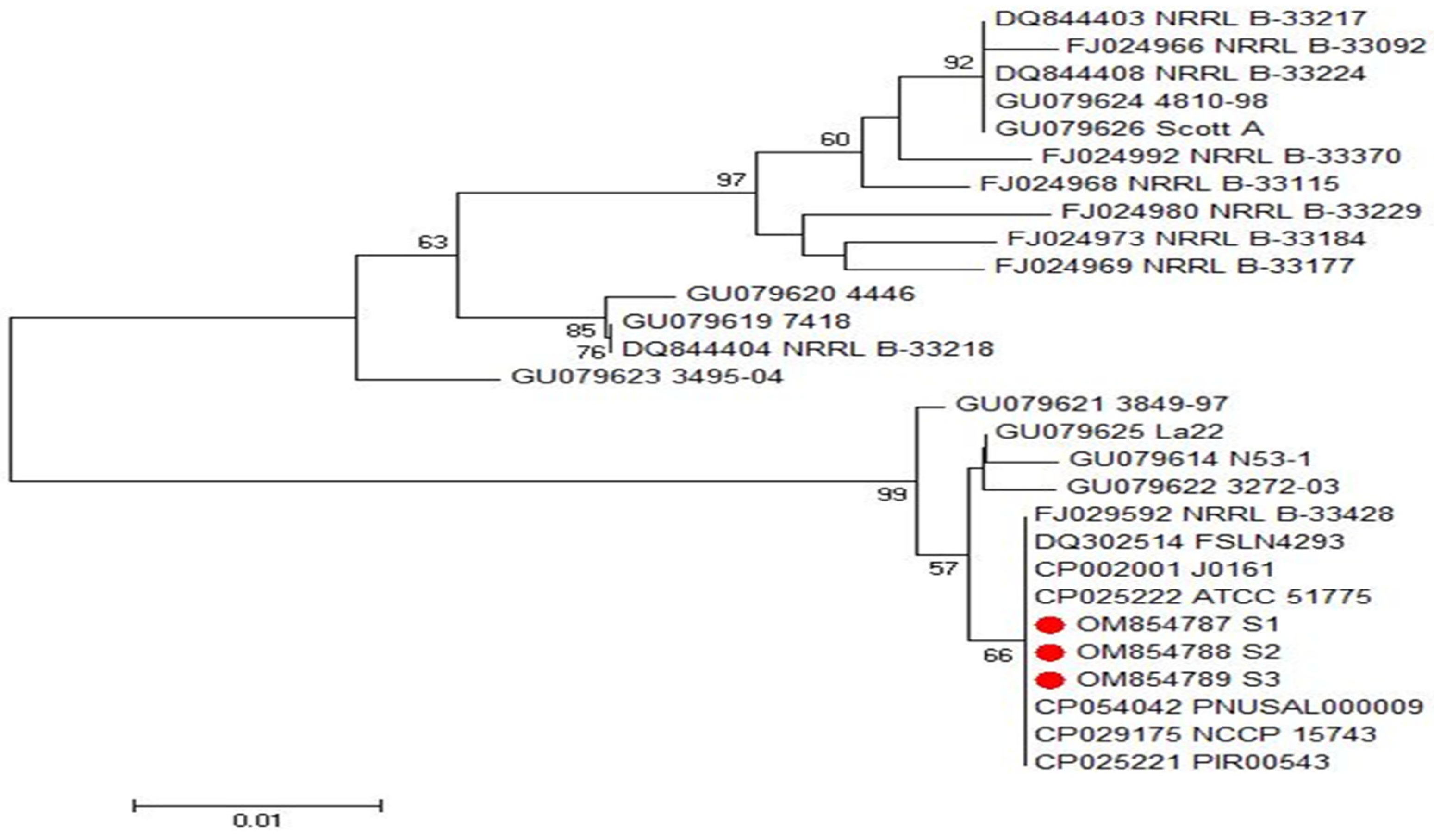 Antibiotics 11 01447 g006 Antibiotics 11 01447 g006