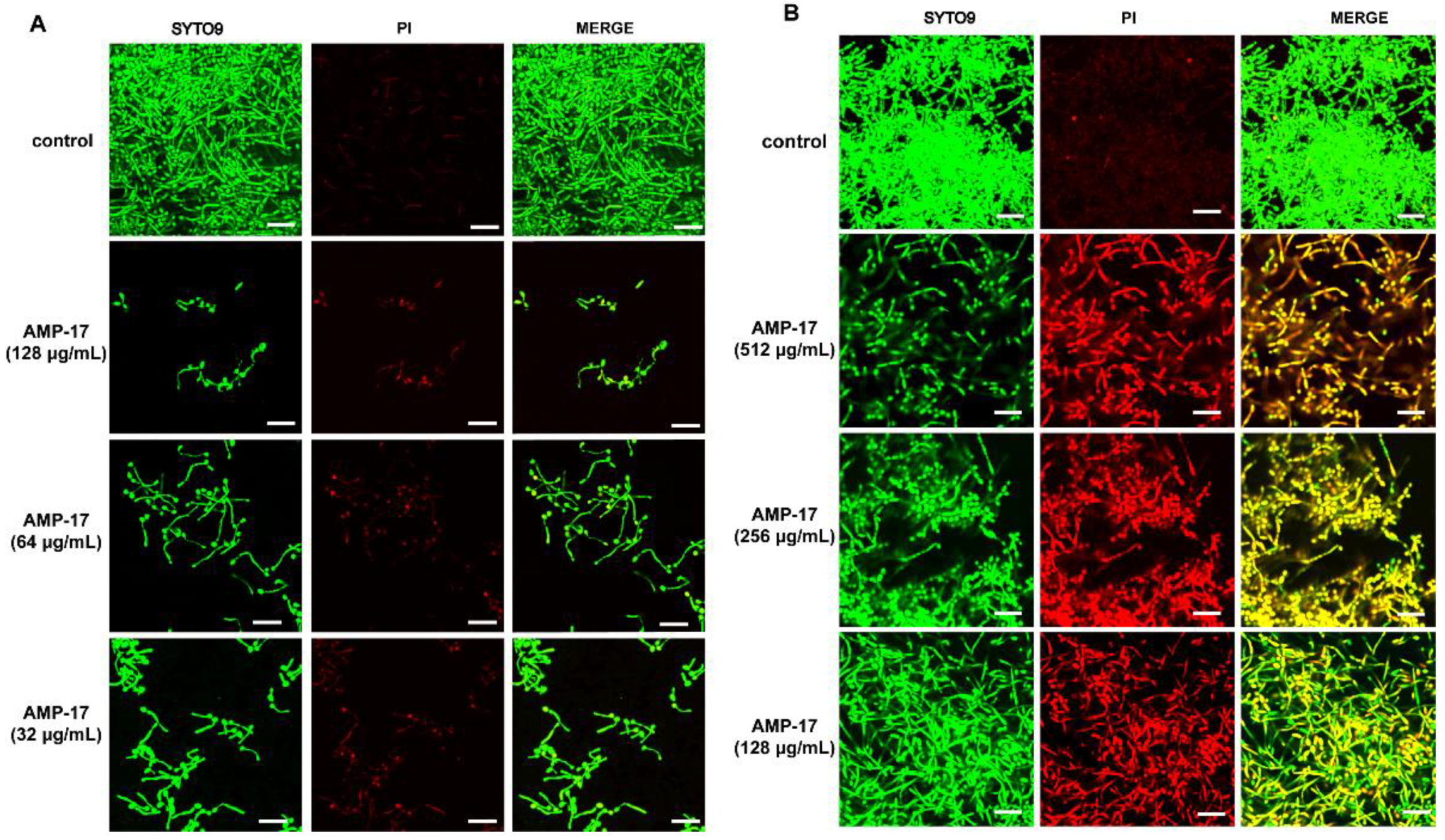 Antibiotics 11 01474 g002