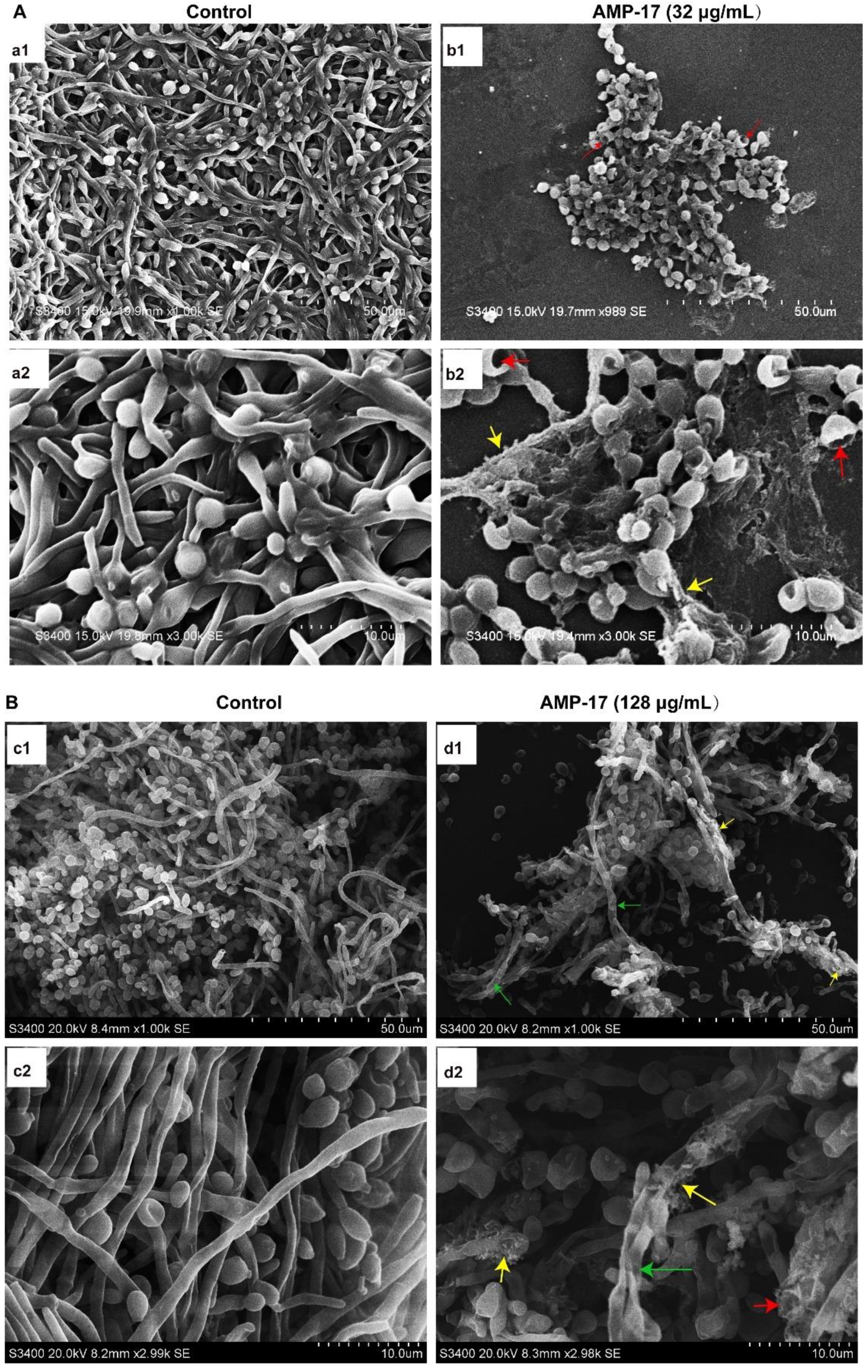 Antibiotics 11 01474 g003