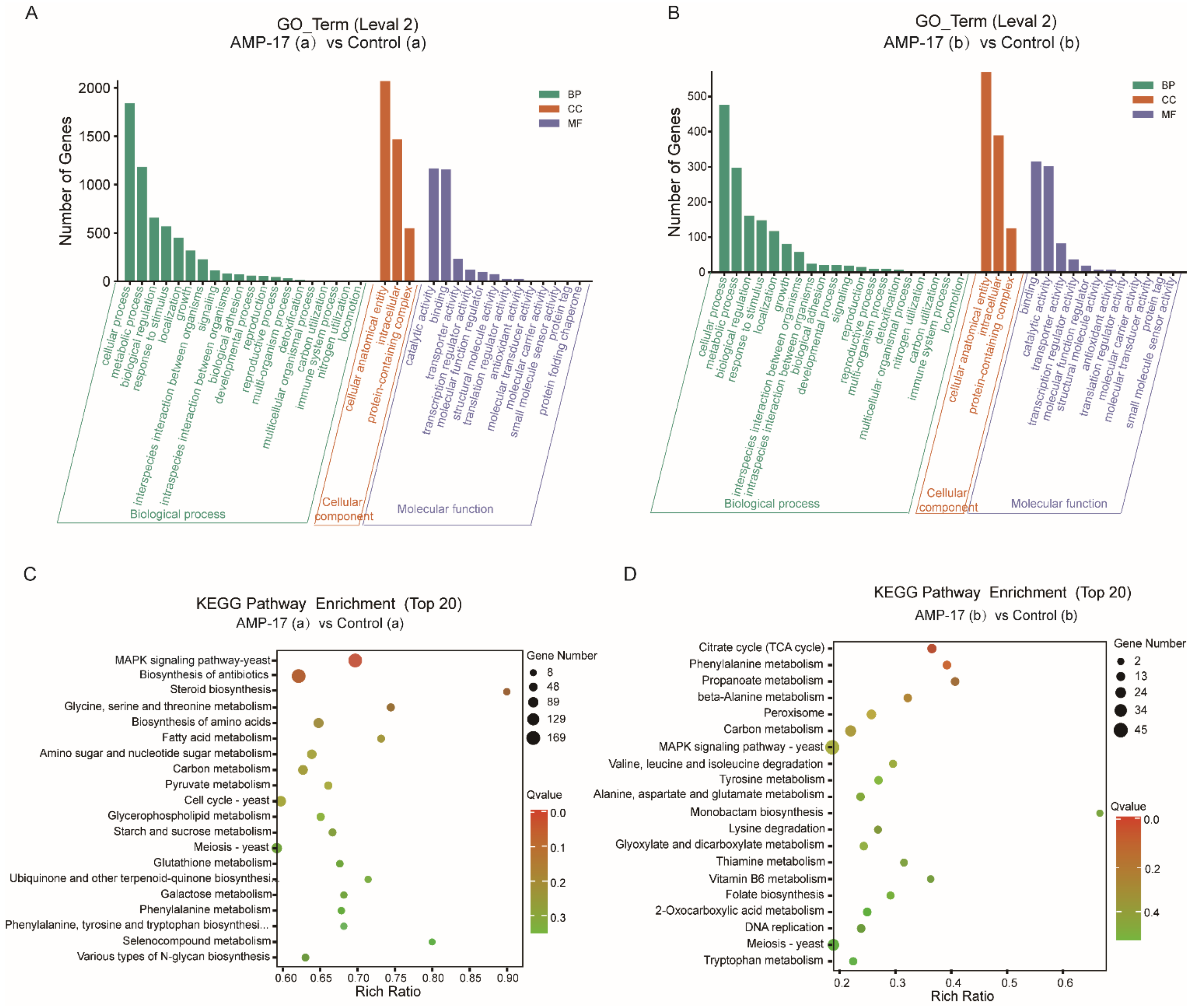 Antibiotics 11 01474 g007