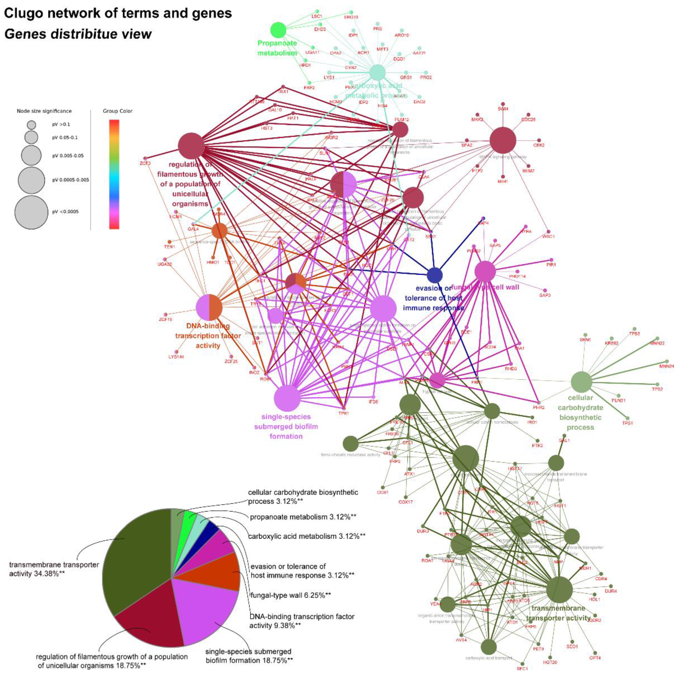 Antibiotics 11 01474 g008