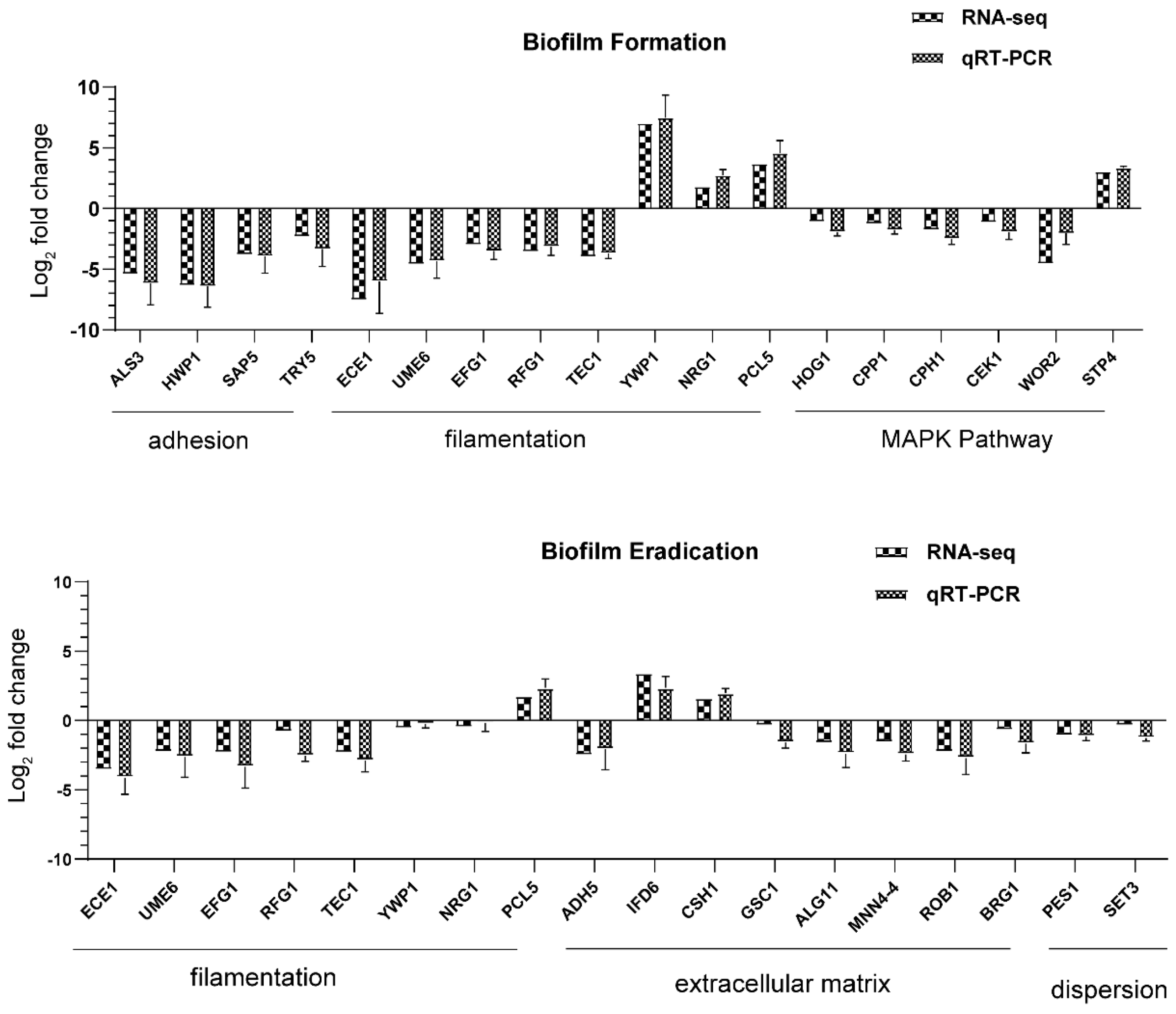 Antibiotics 11 01474 g009