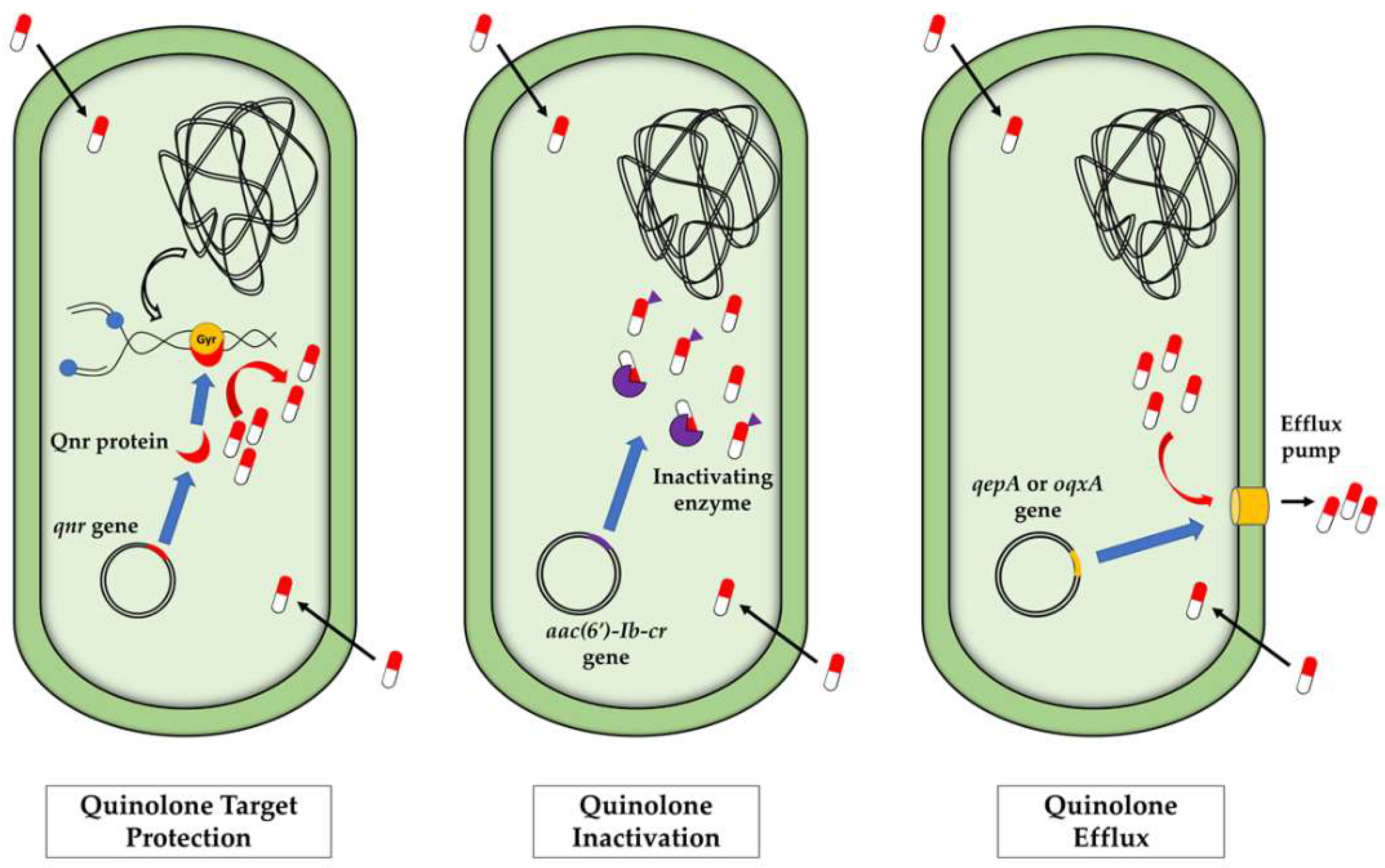 Antibiotics 11 01487 g001 Antibiotics 11 01487 g001