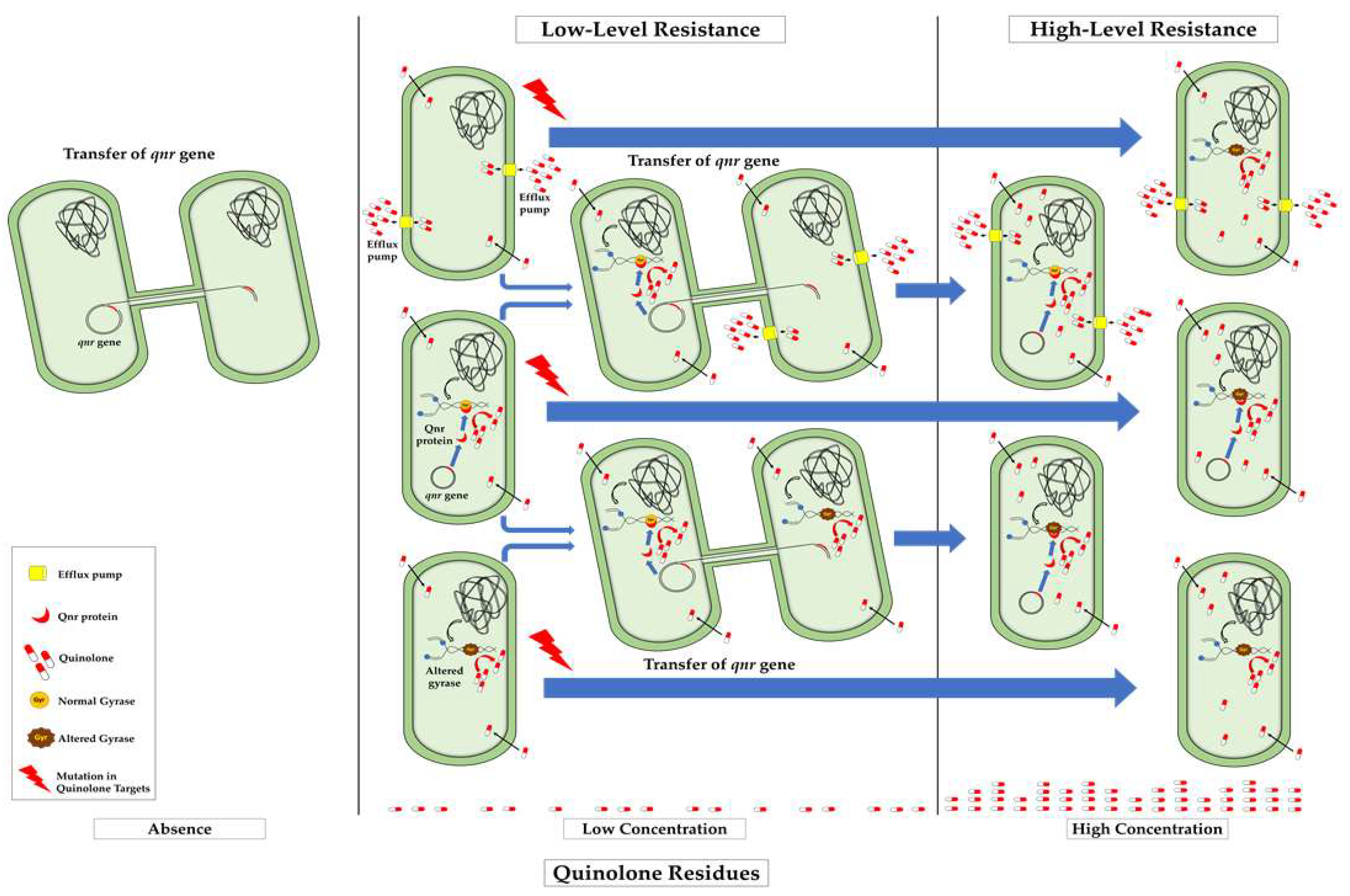 Antibiotics 11 01487 g002 Antibiotics 11 01487 g002