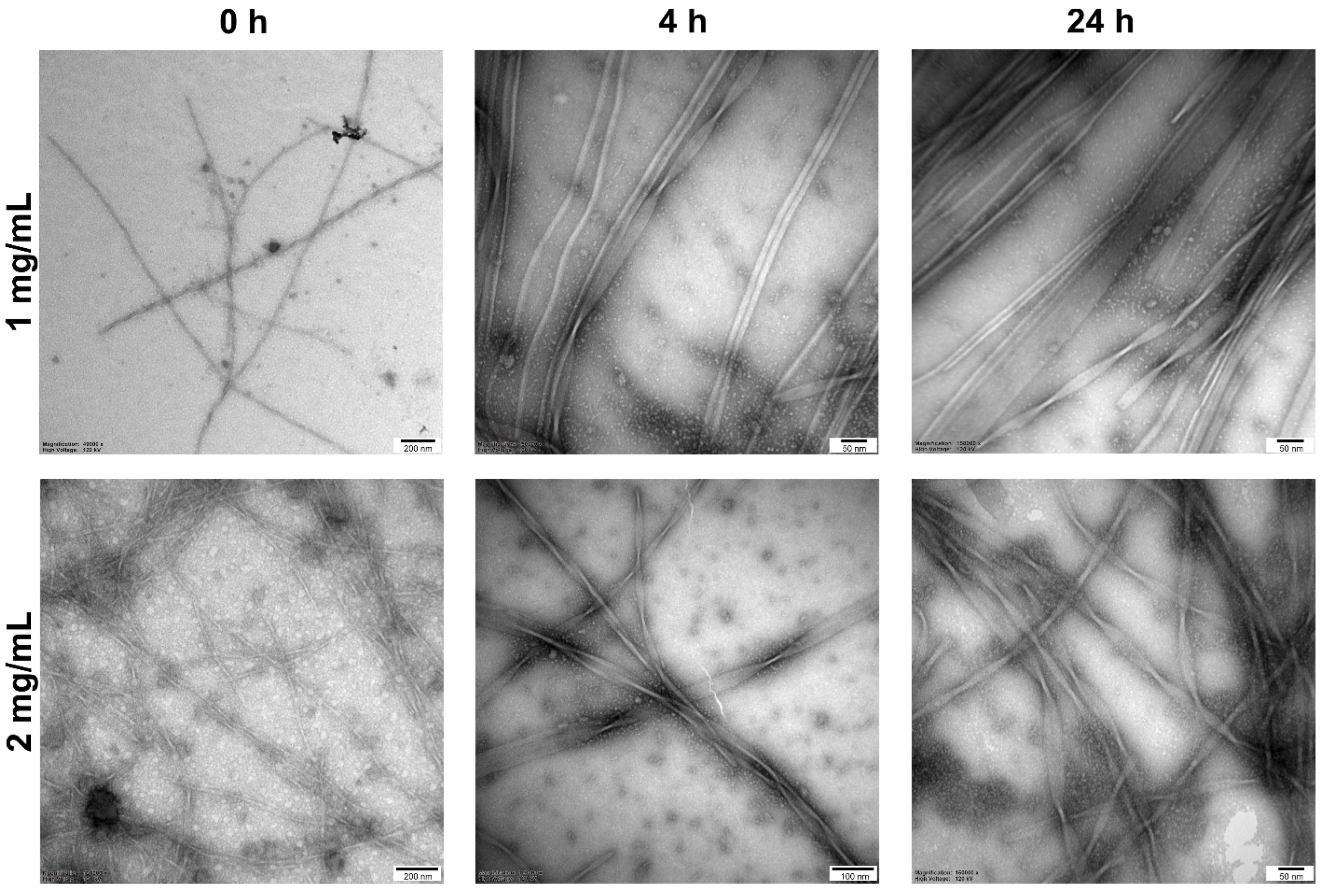 Antibiotics 11 01491 g002
