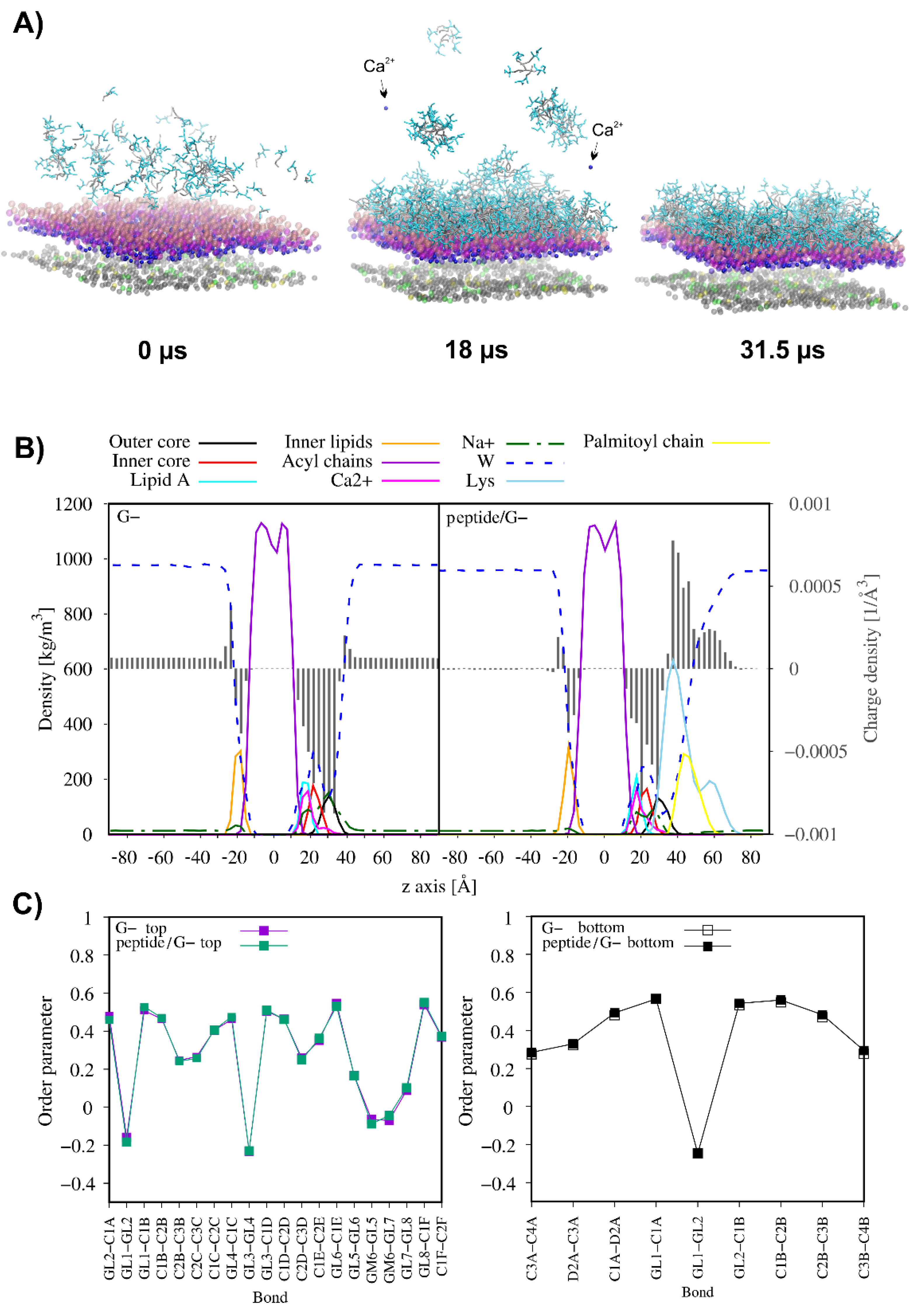 Antibiotics 11 01491 g008
