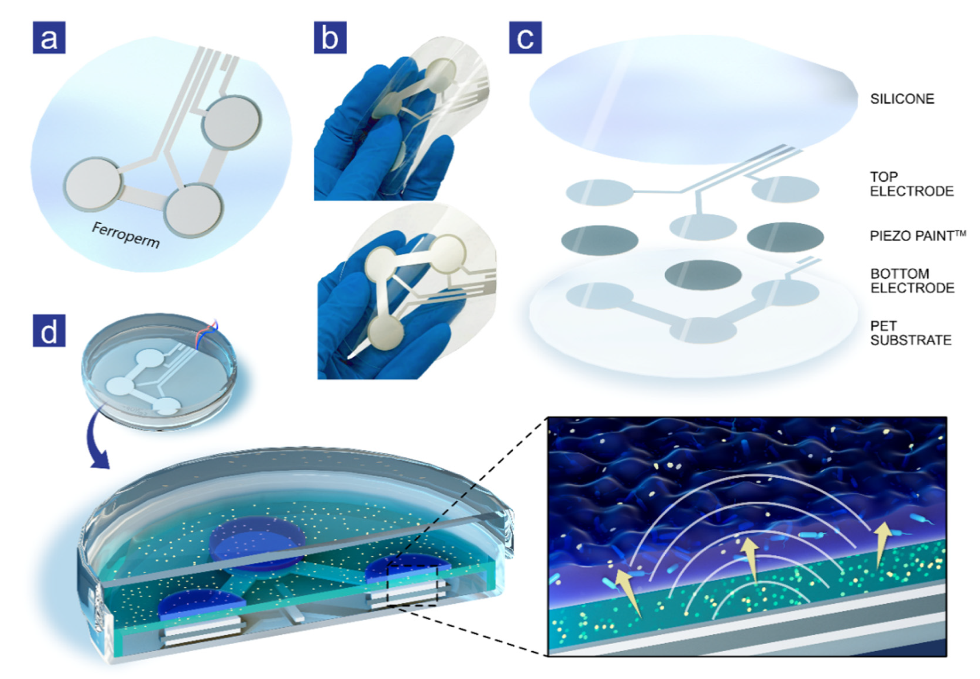 Antibiotics 11 01494 g001