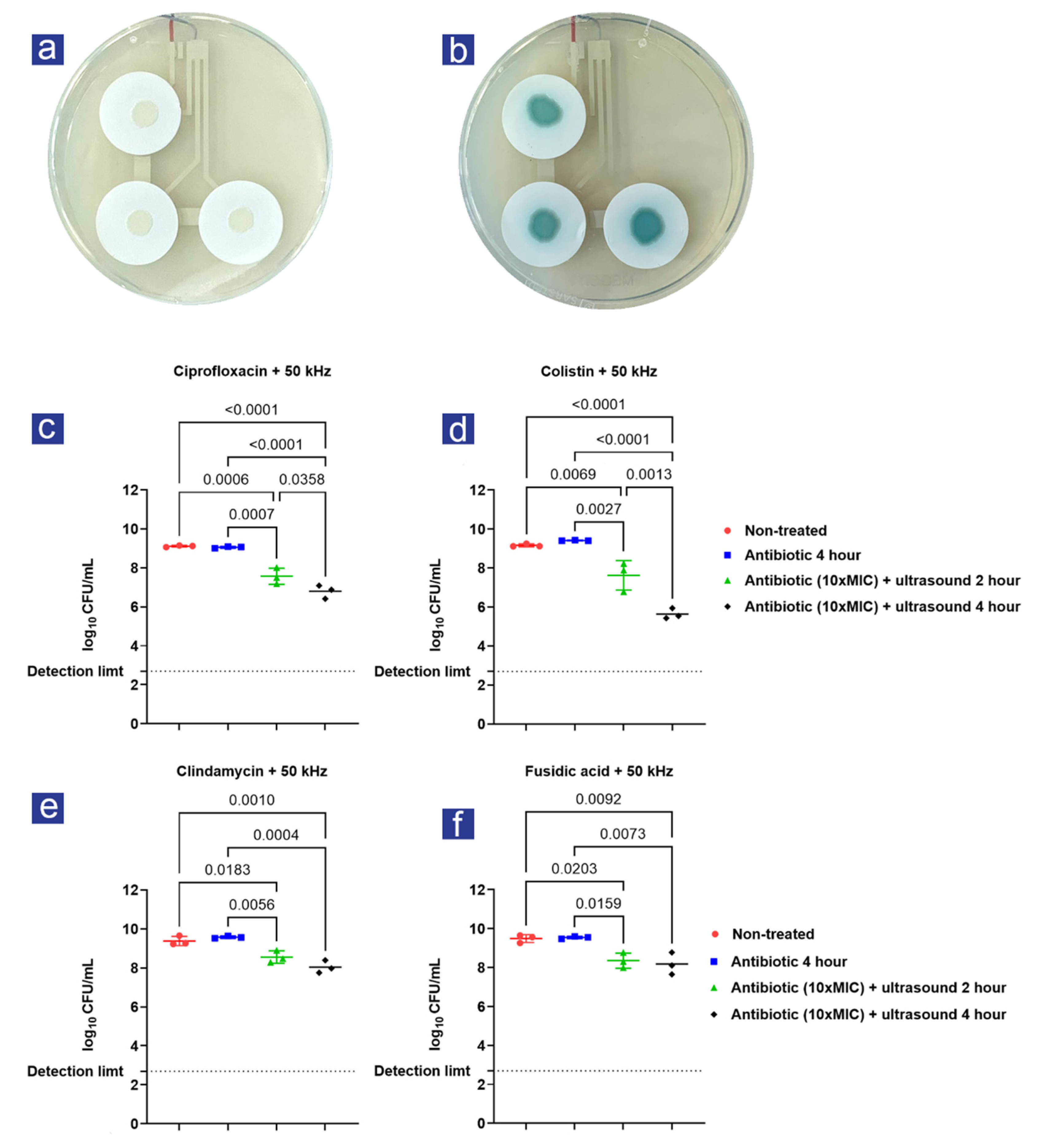Antibiotics 11 01494 g002