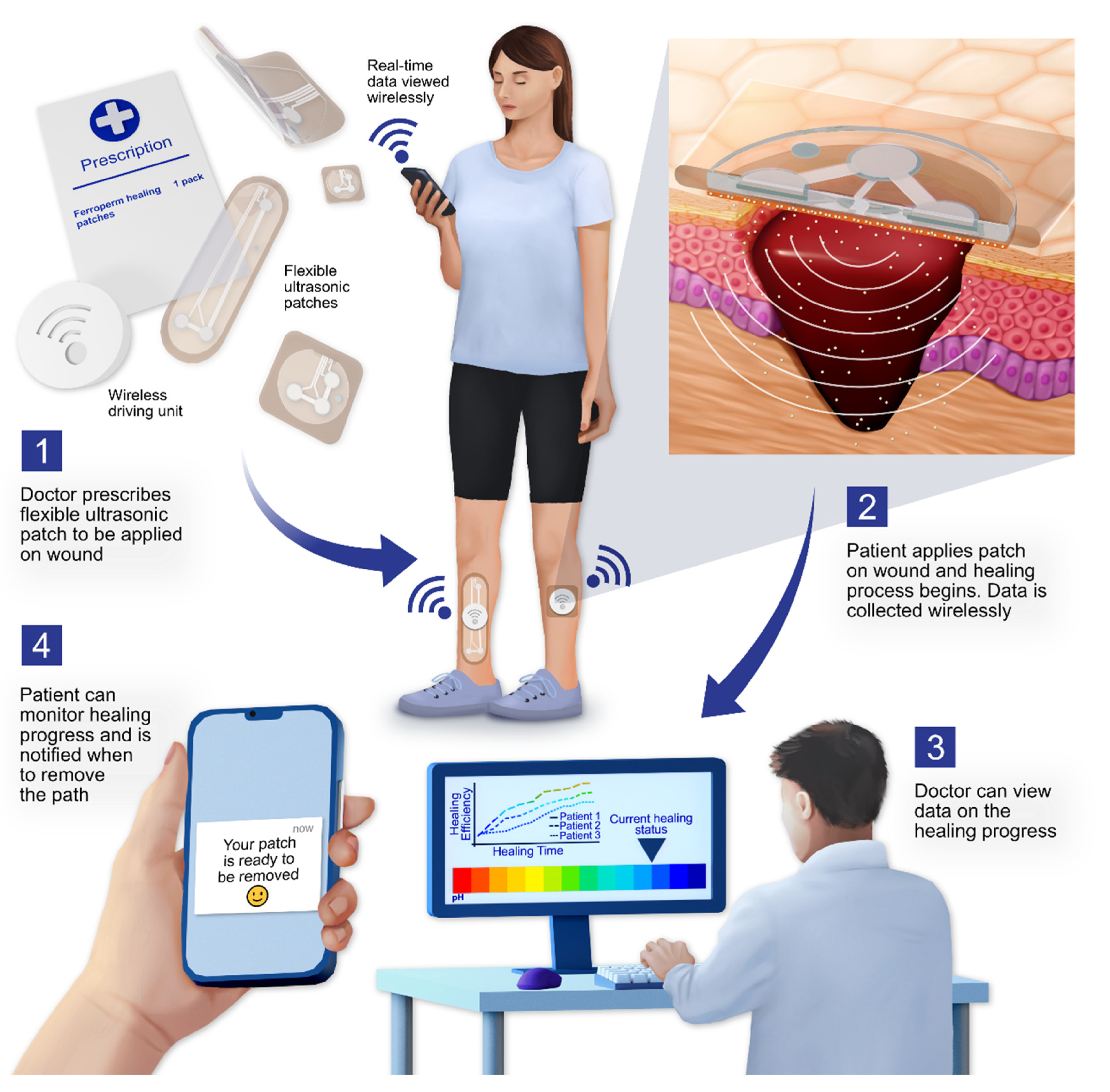Antibiotics 11 01494 g004