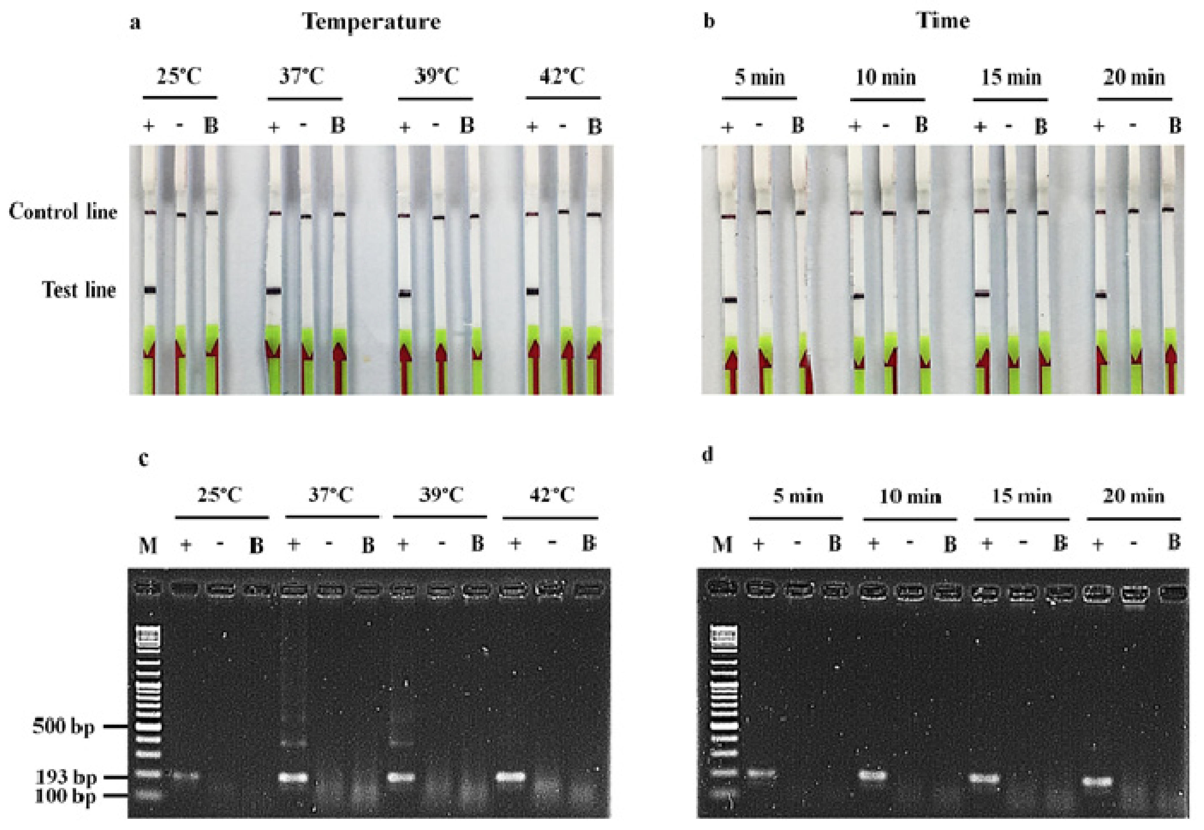 Antibiotics 11 01499 g001 Antibiotics 11 01499 g001