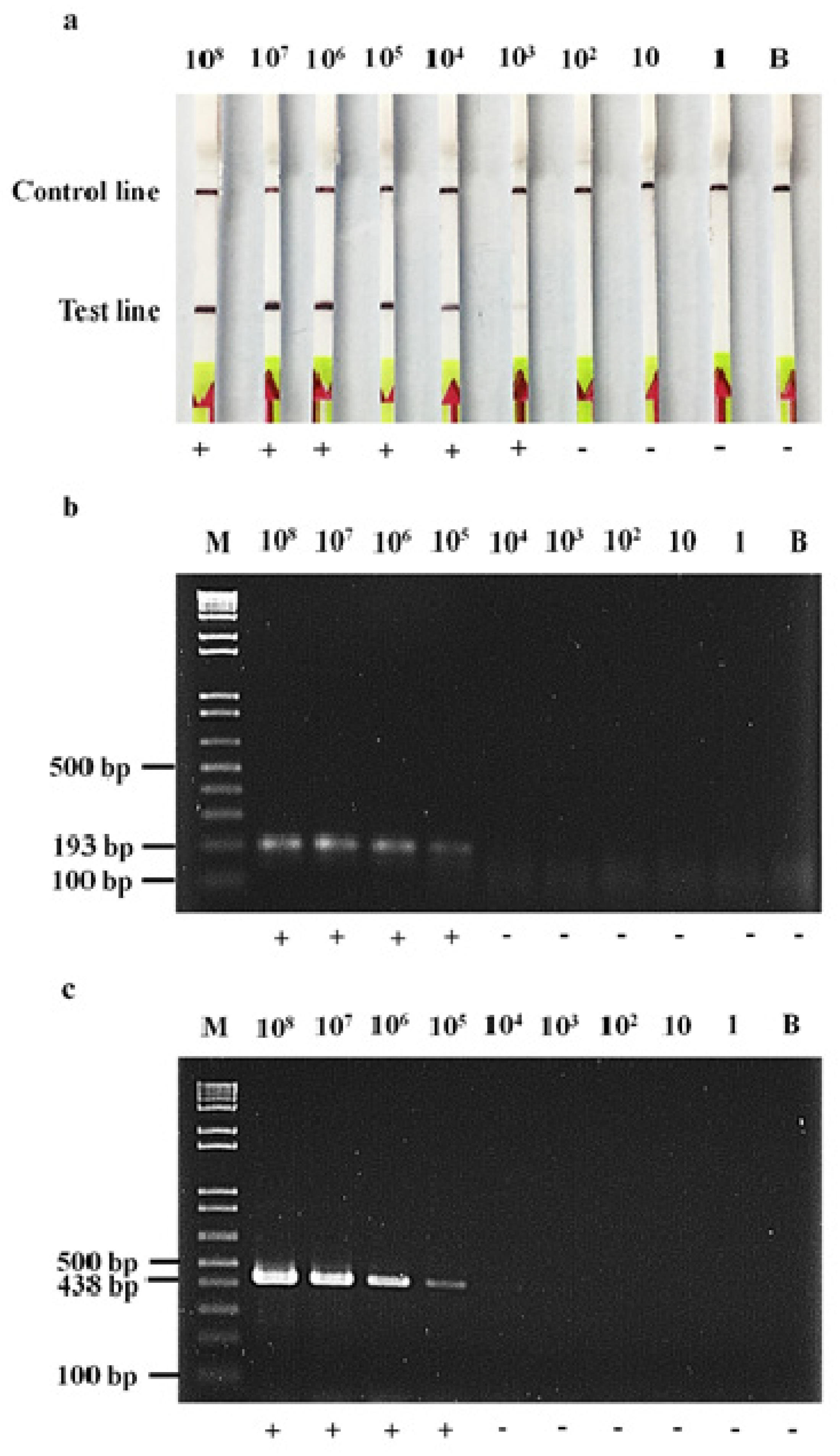 Antibiotics 11 01499 g002 Antibiotics 11 01499 g002