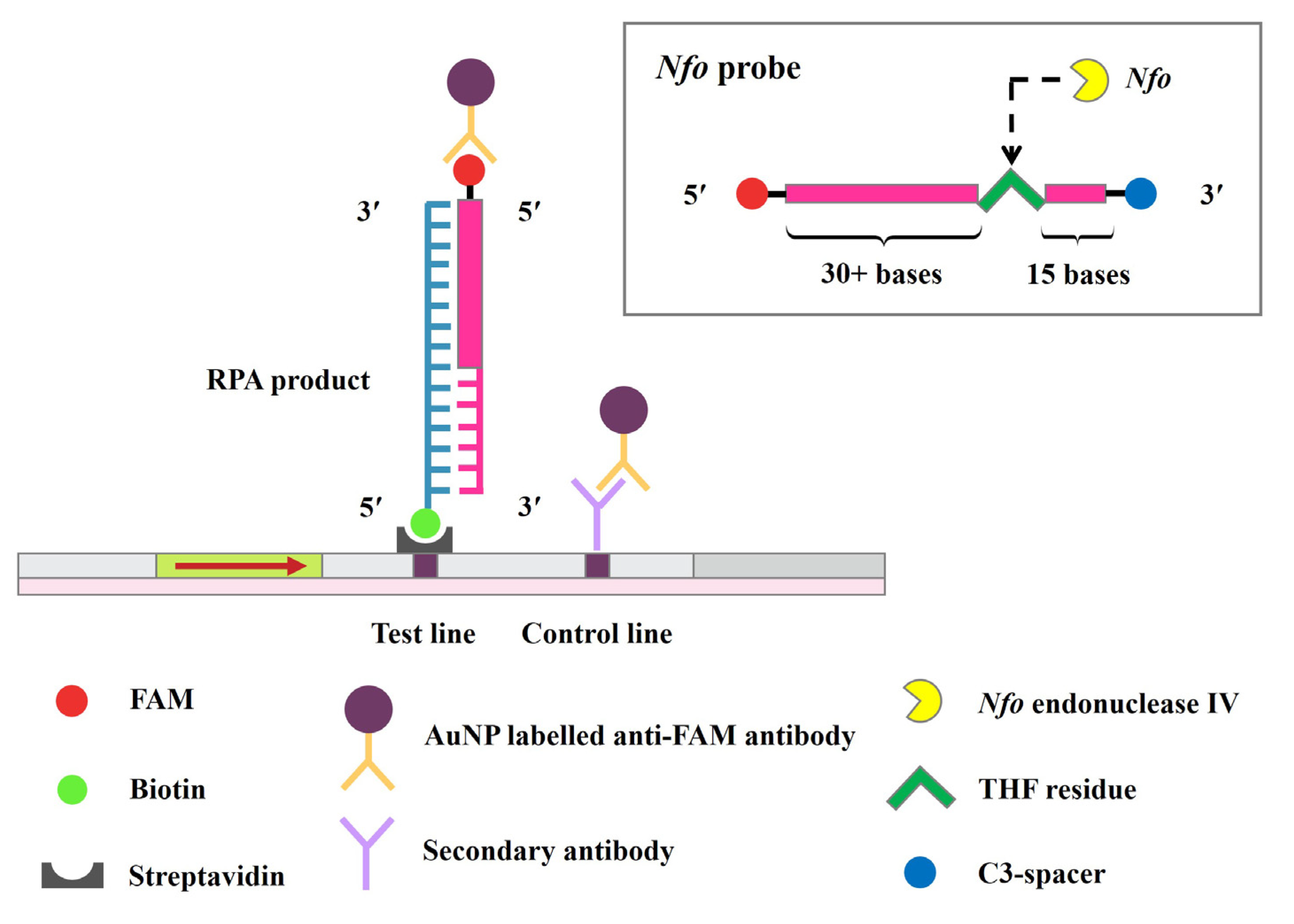 Antibiotics 11 01499 g004 Antibiotics 11 01499 g004