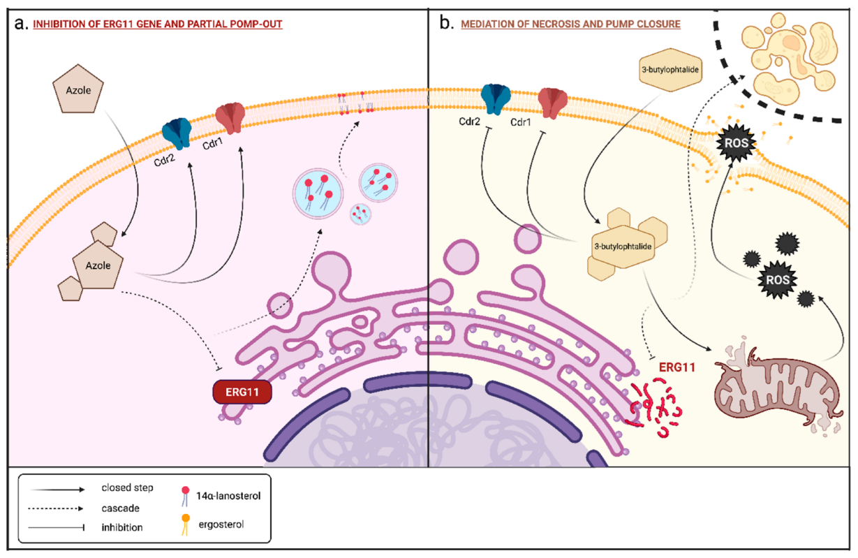 Antibiotics 11 01500 g001 Antibiotics 11 01500 g001