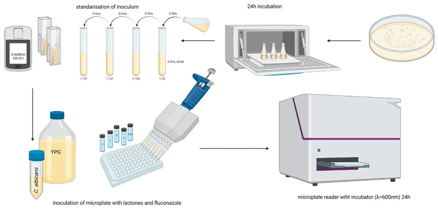 Antibiotics 11 01500 g016 Antibiotics 11 01500 g016