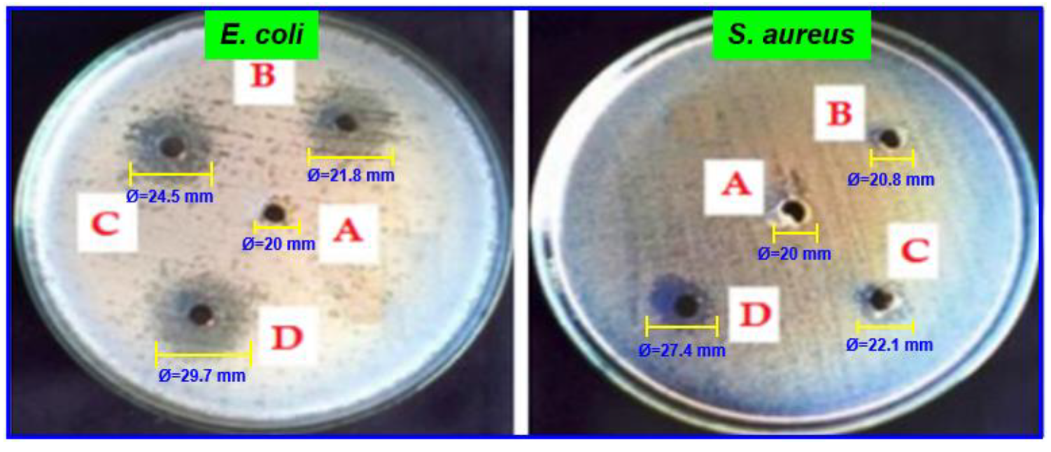 Antibiotics 11 01502 g009 Antibiotics 11 01502 g009