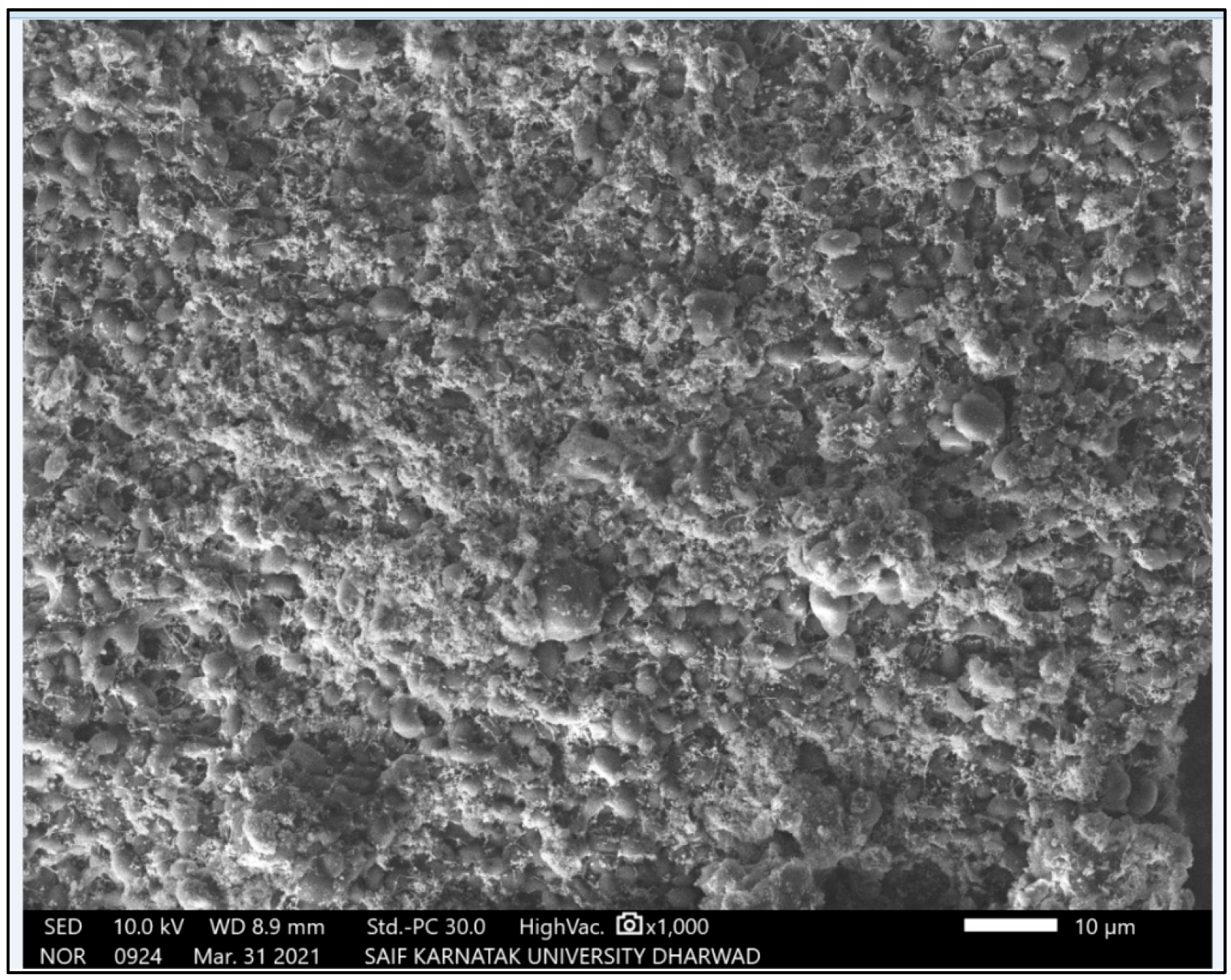 Antibiotics 11 01503 g003