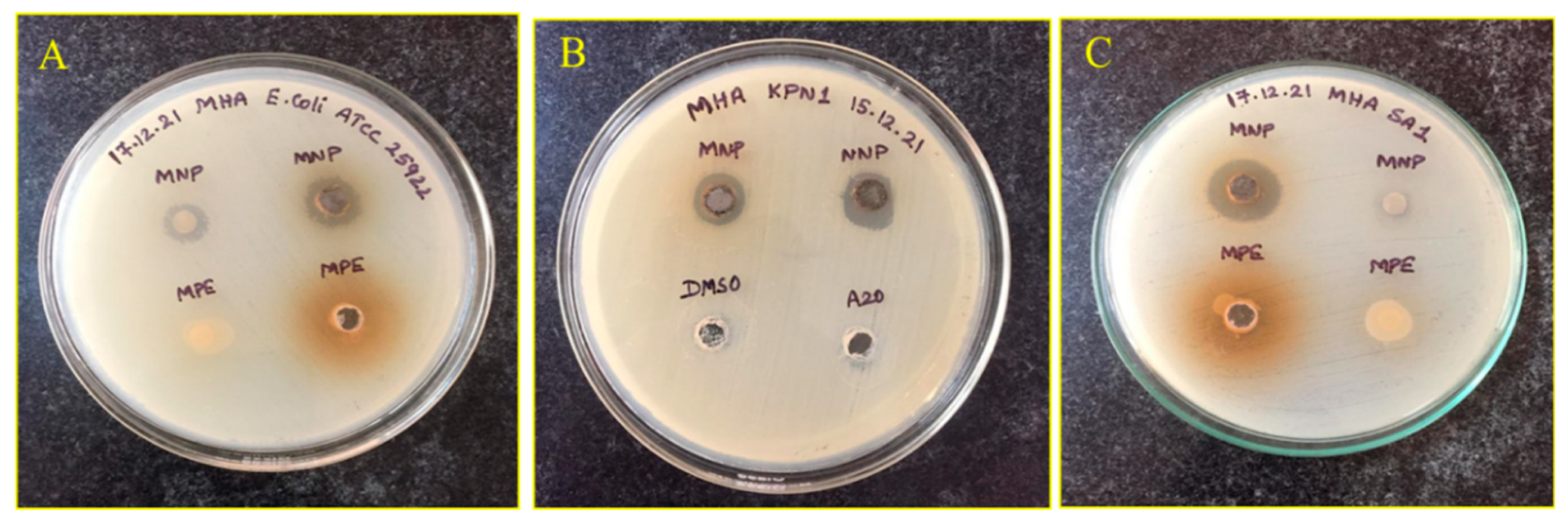 Antibiotics 11 01503 g005