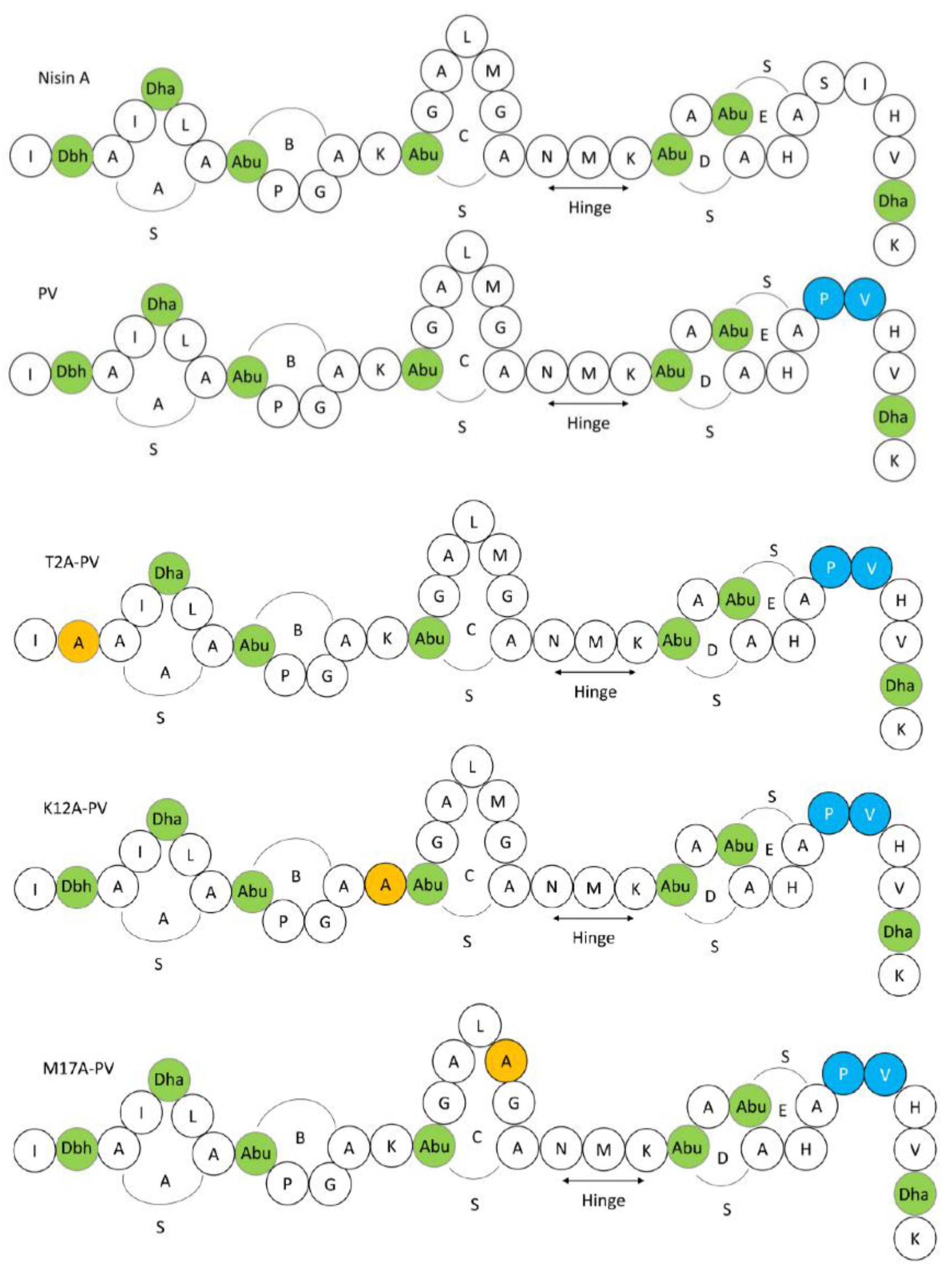 Antibiotics 11 01516 g001