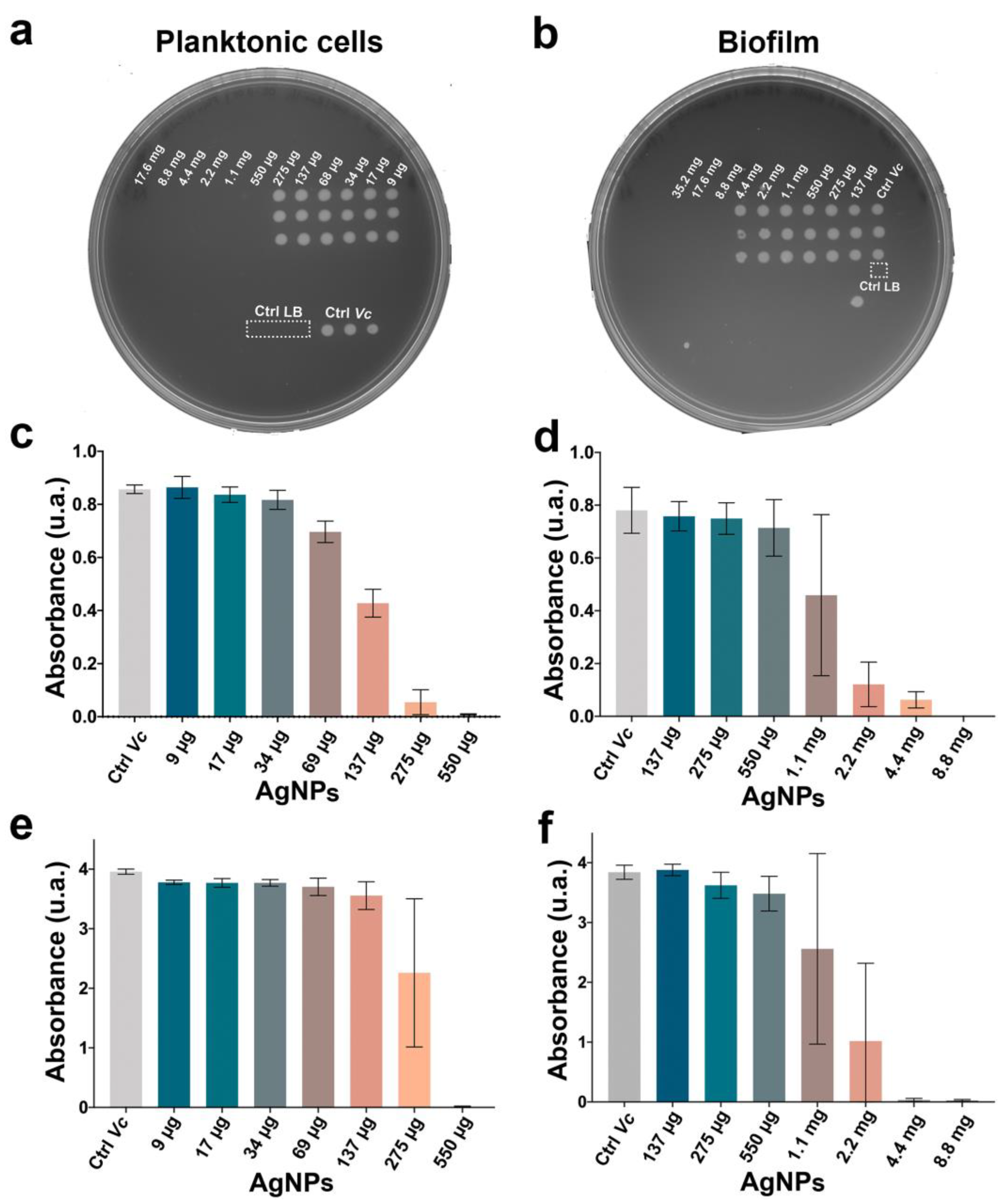 Antibiotics 11 01534 g002