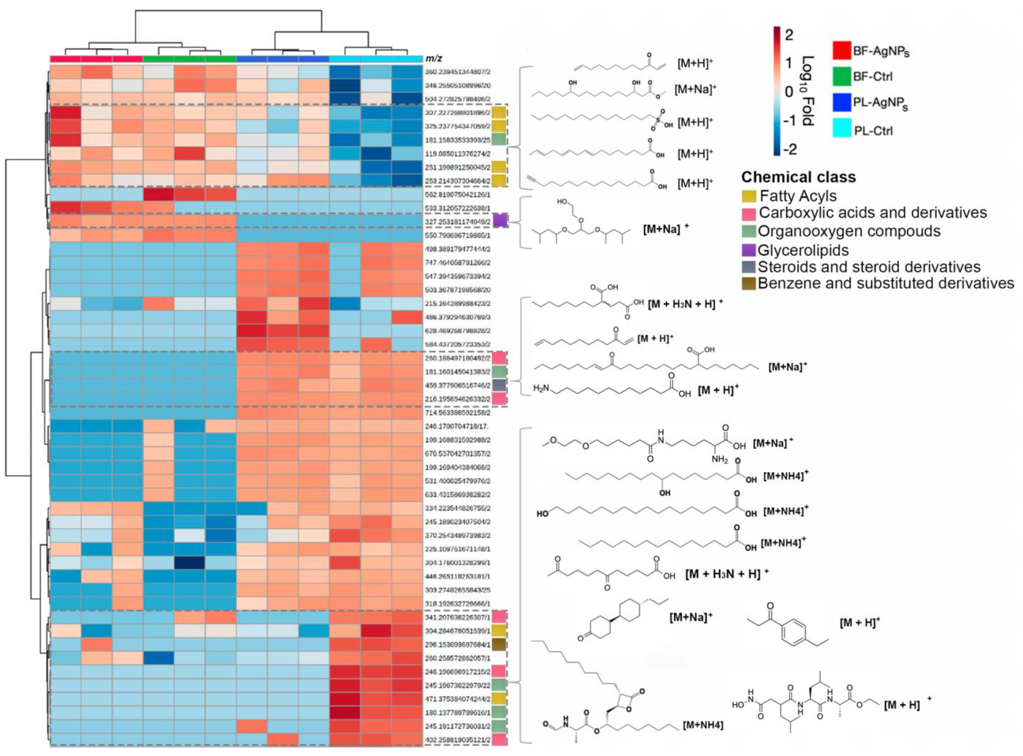 お客様オーダー Metabolomic Profiling of the Responses of Planktonic and
