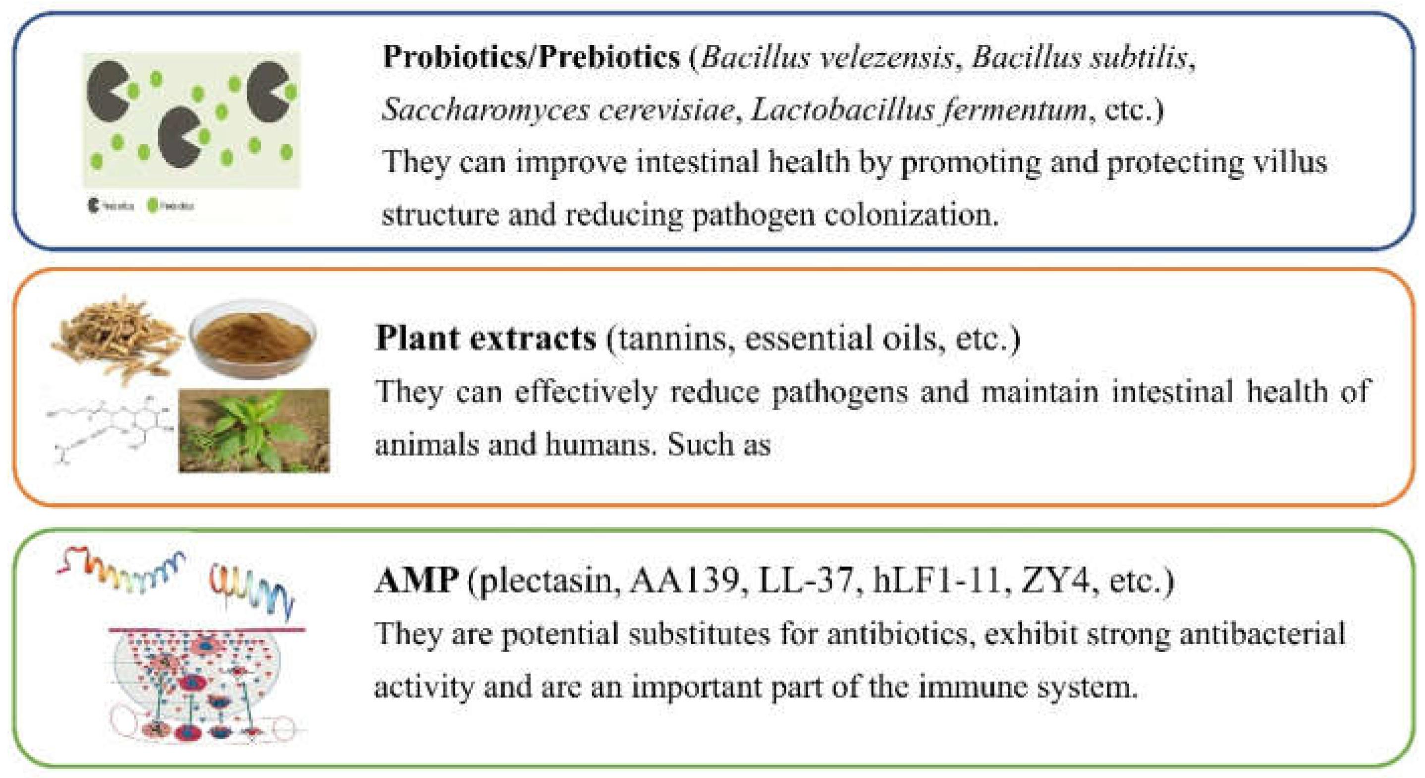 Antibiotics 11 01535 g003 Antibiotics 11 01535 g003