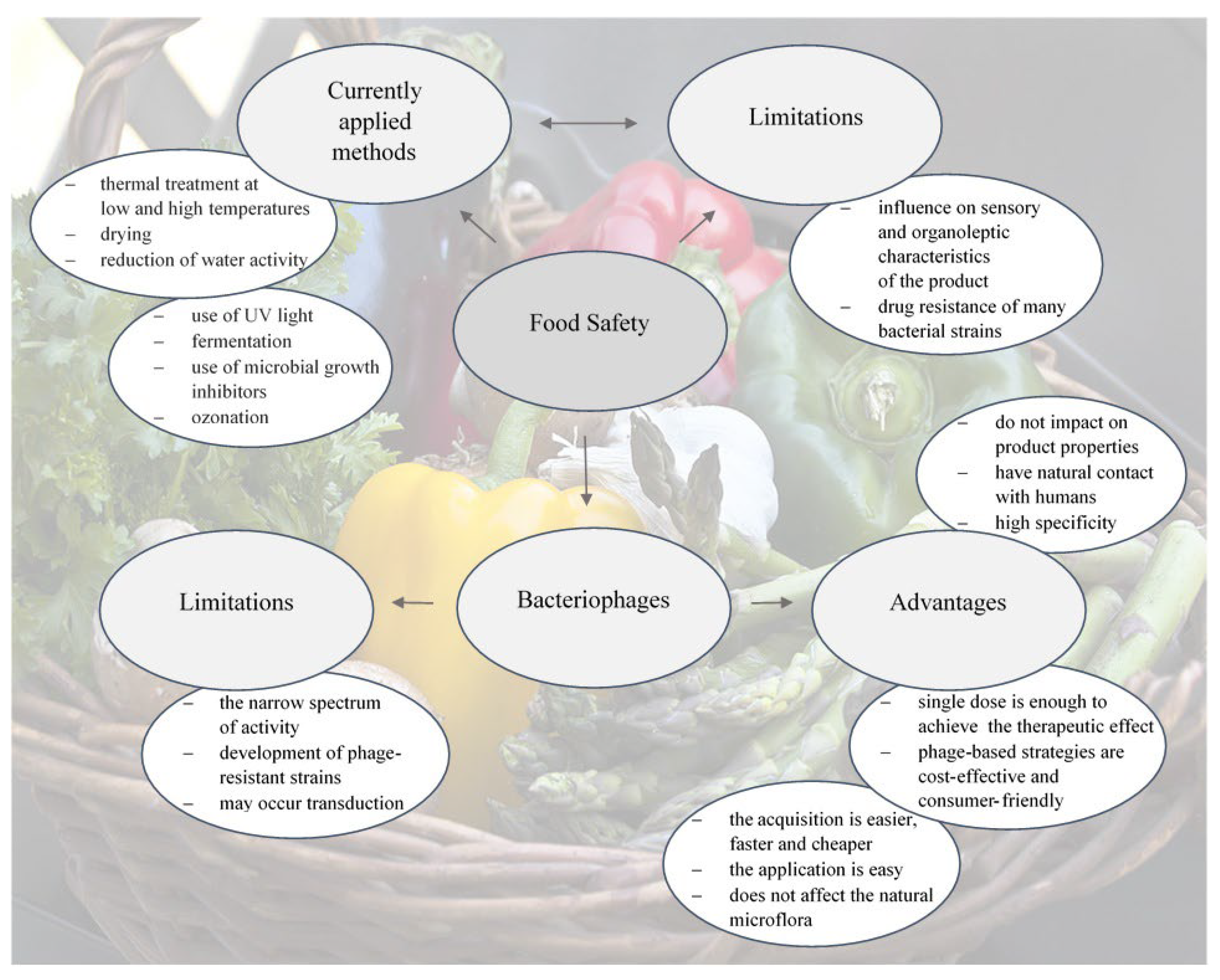 Antibiotics 11 01536 g001