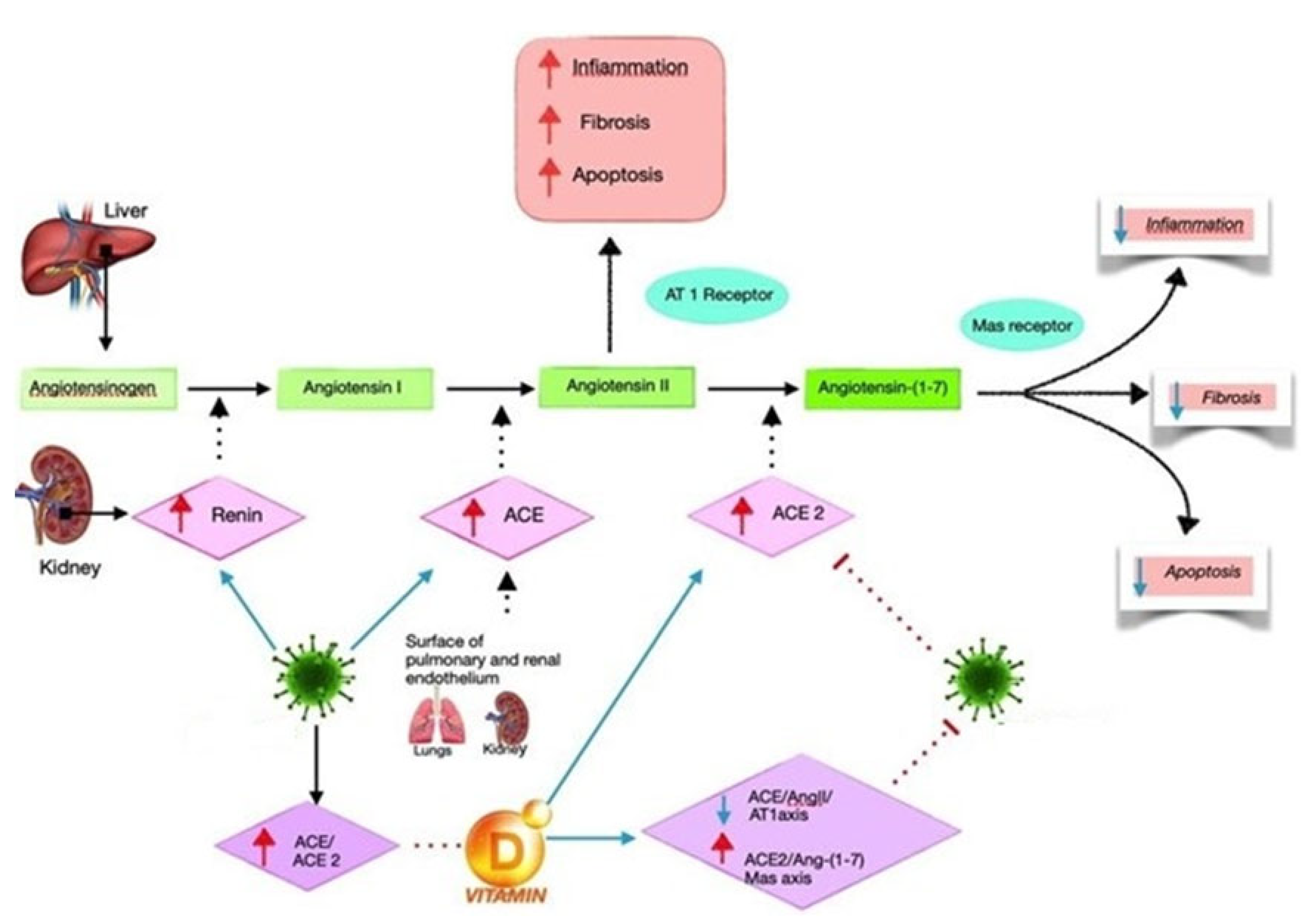 Antibiotics 11 01545 g001