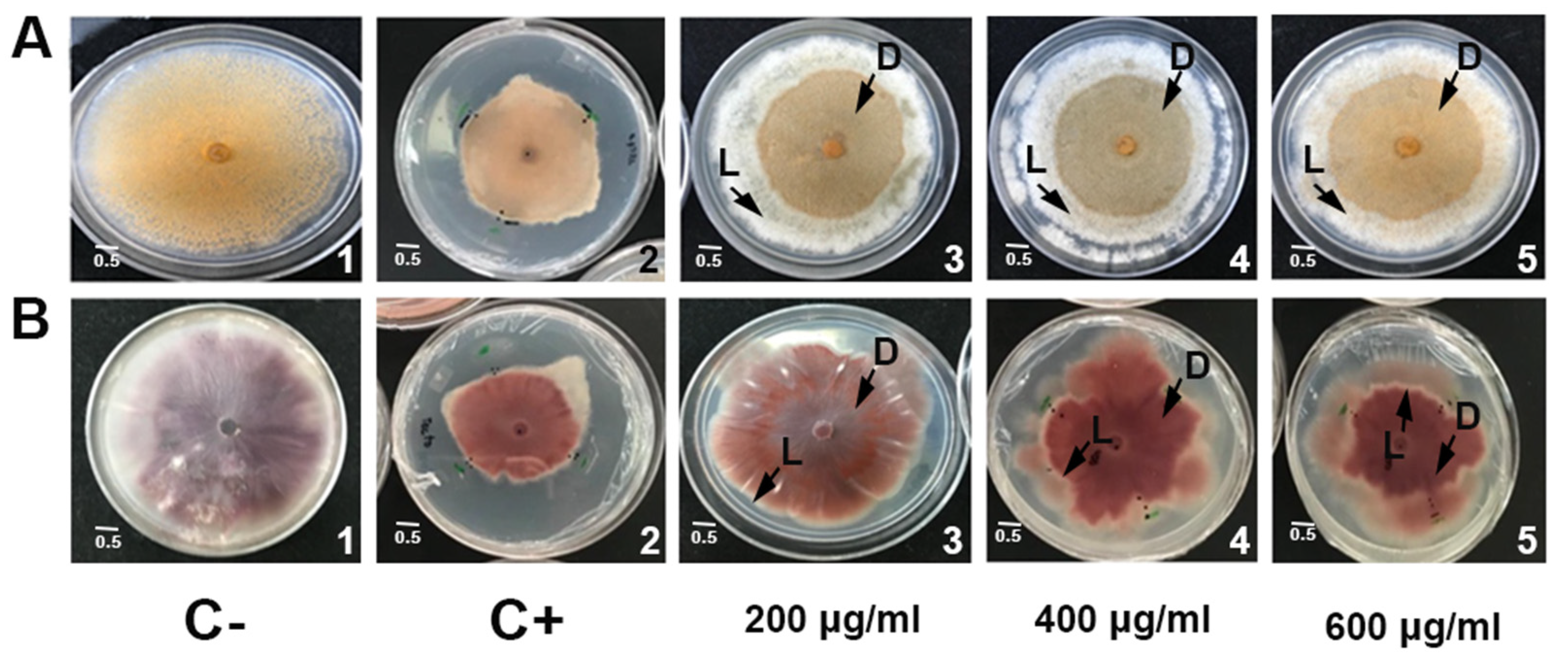 Antibiotics 11 01558 g002
