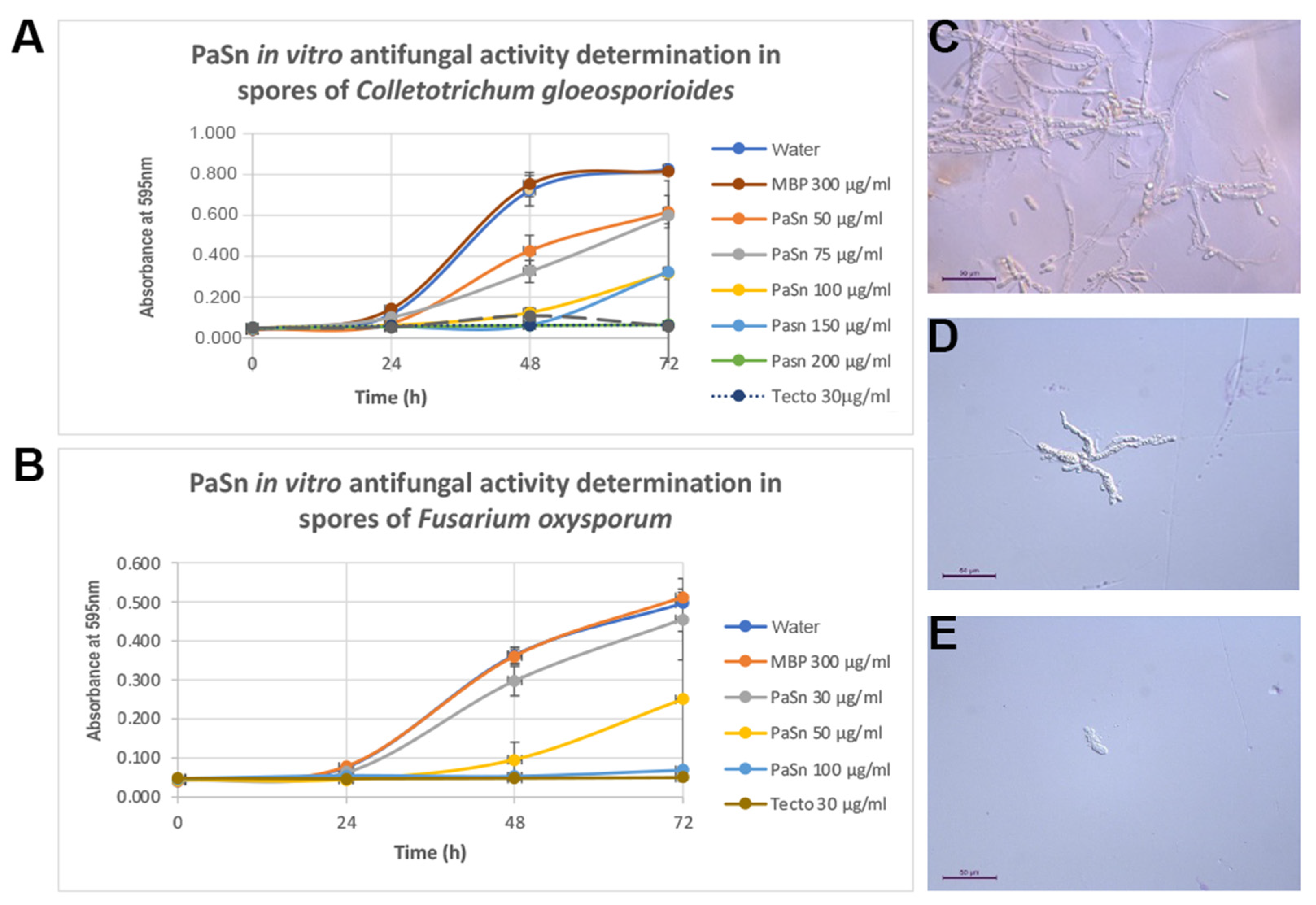 Antibiotics 11 01558 g004