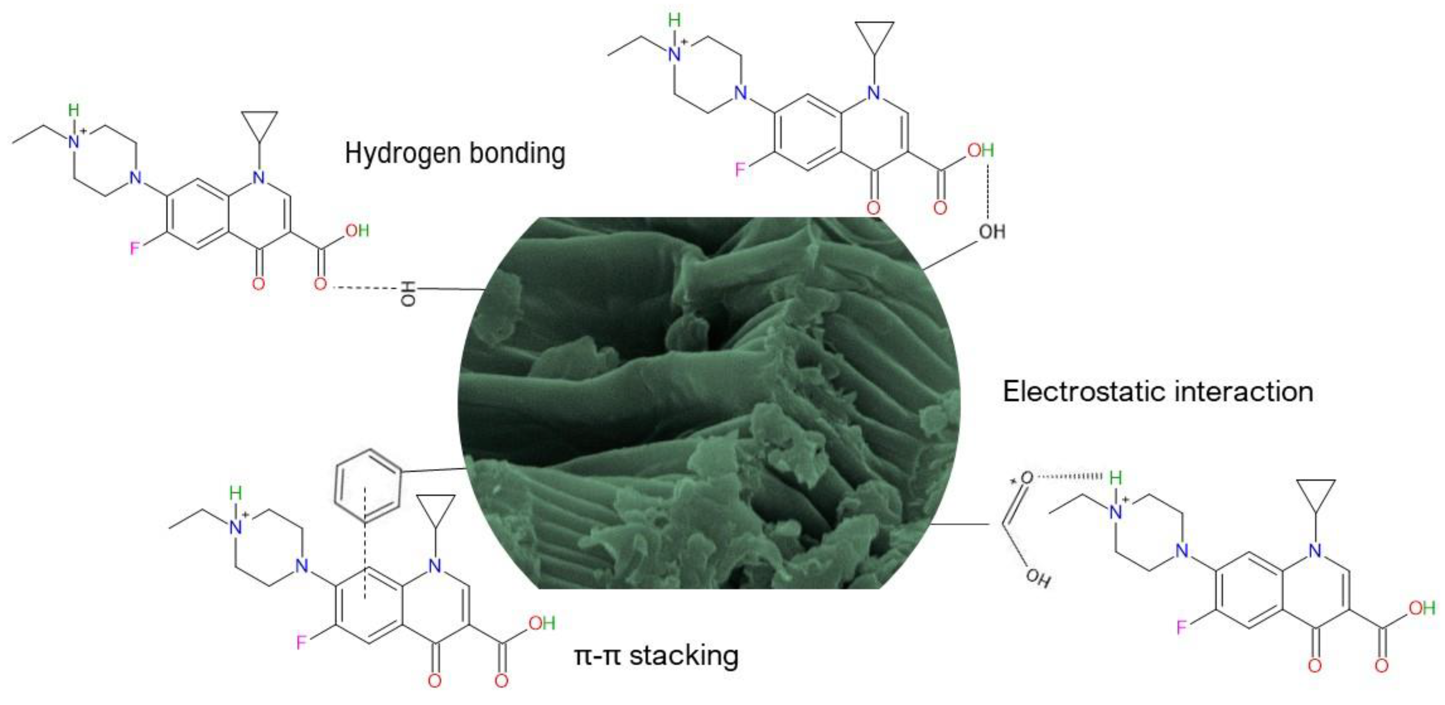 Antibiotics 11 01563 g010