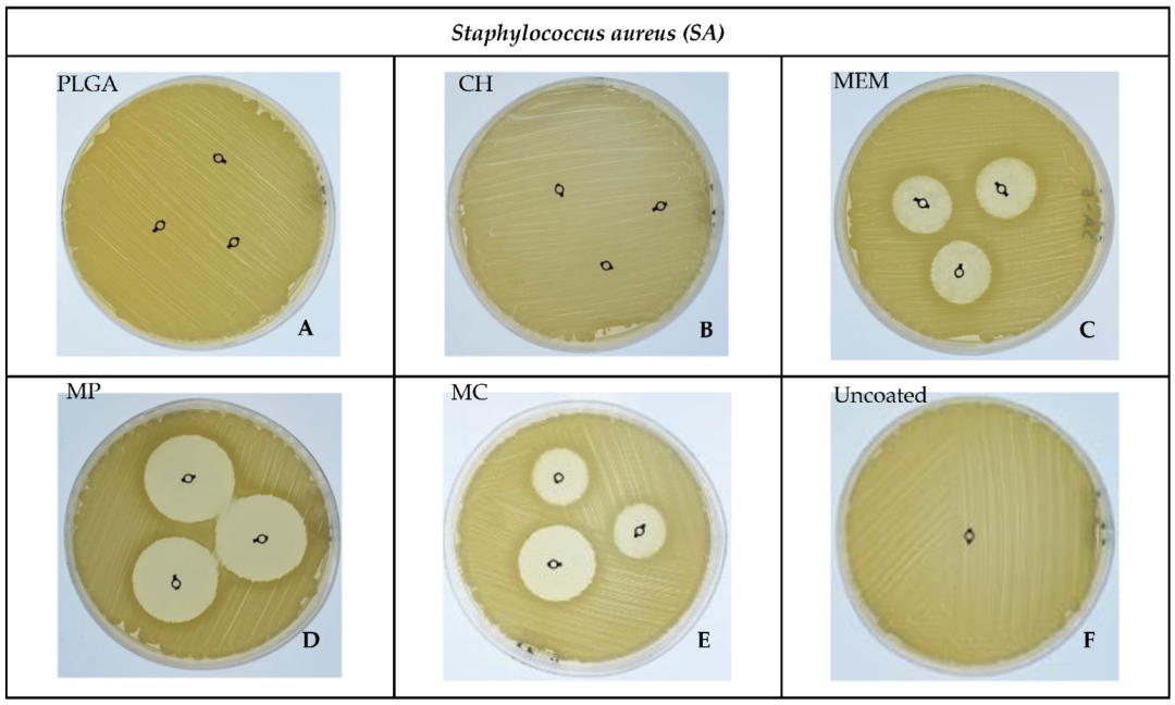 Antibiotics 11 01565 g003