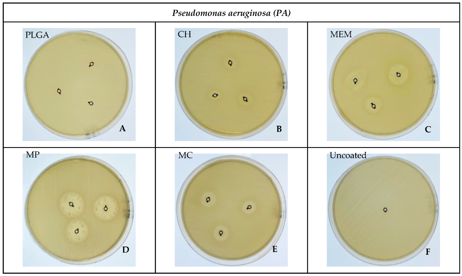 Antibiotics 11 01565 g004