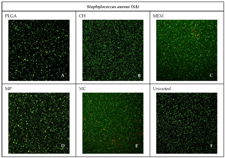 Antibiotics 11 01565 g005