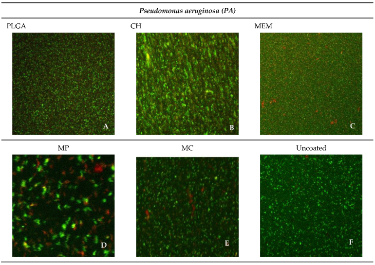 Antibiotics 11 01565 g006