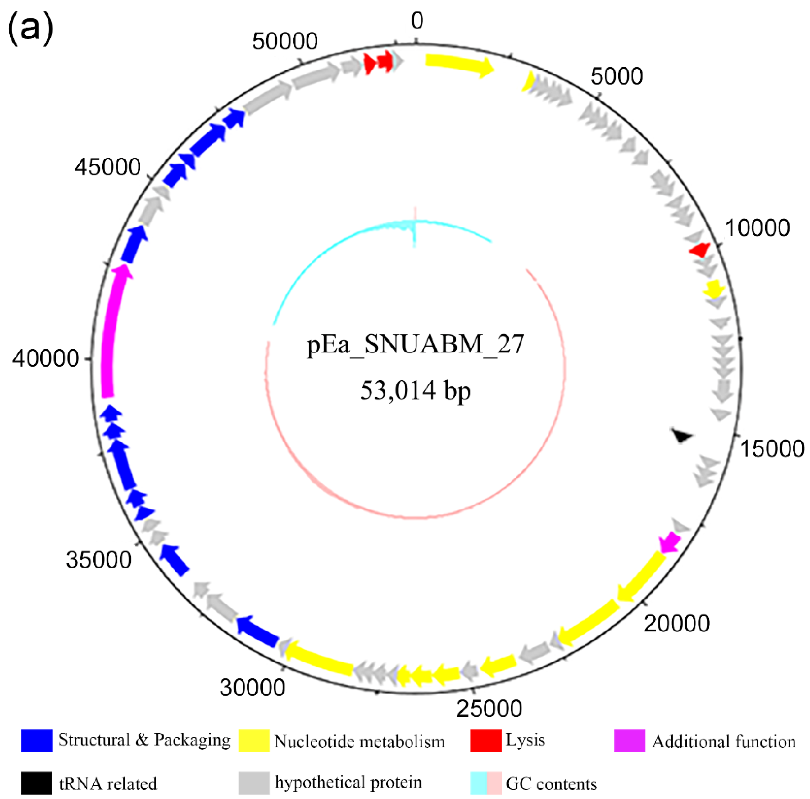 Antibiotics 11 01566 g006a