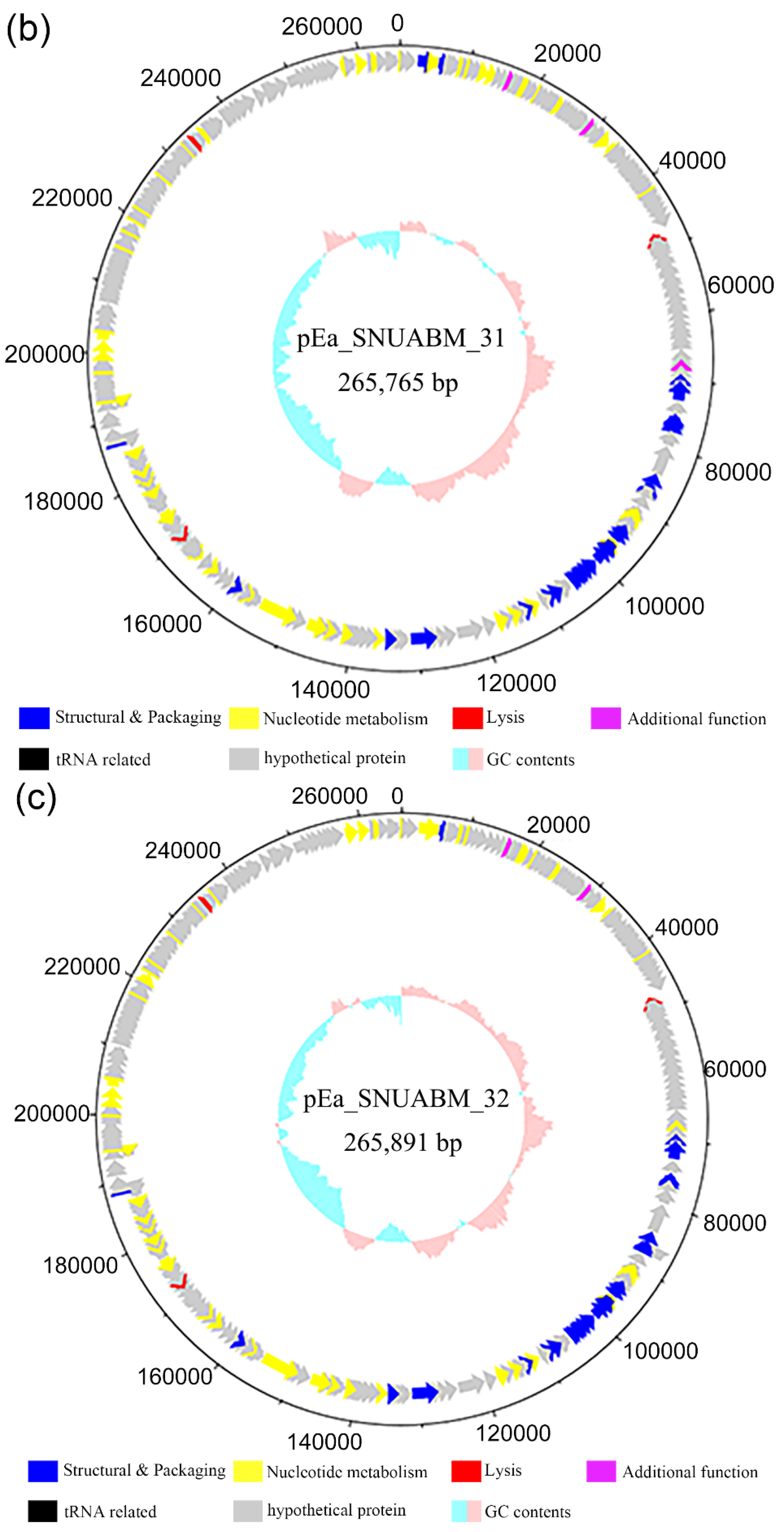 Antibiotics 11 01566 g006b