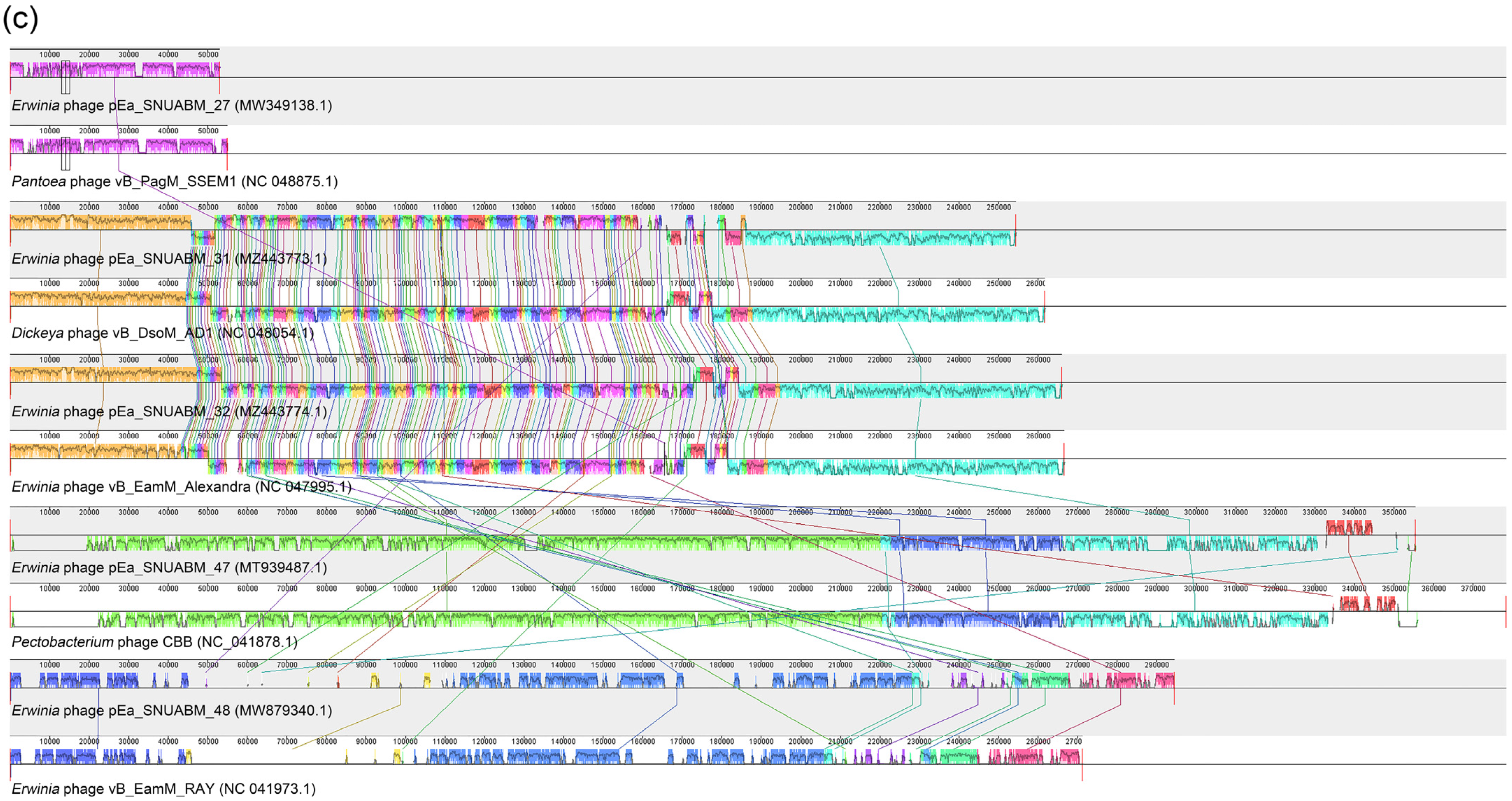 Antibiotics 11 01566 g007c