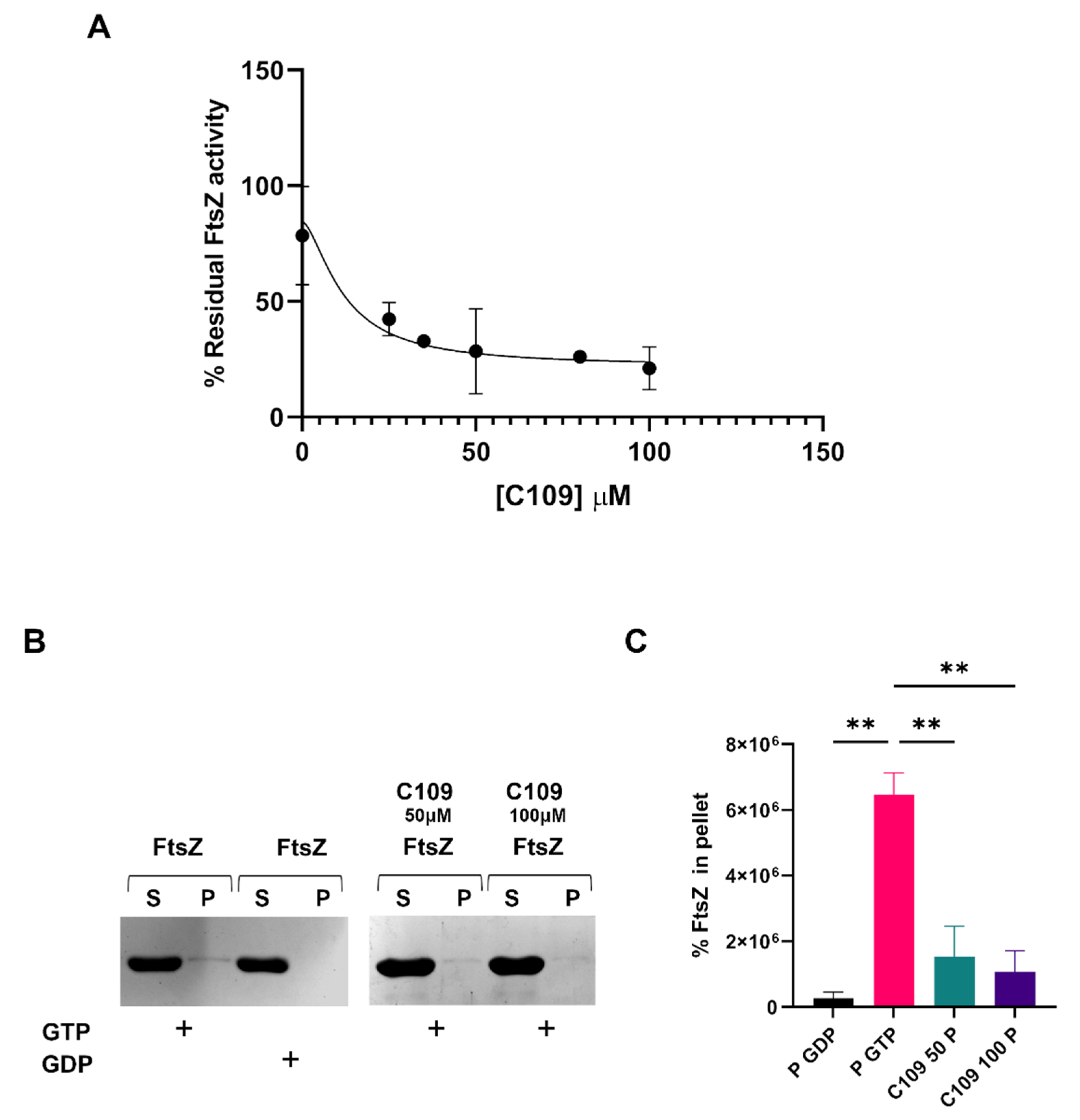 Antibiotics 11 01571 g007