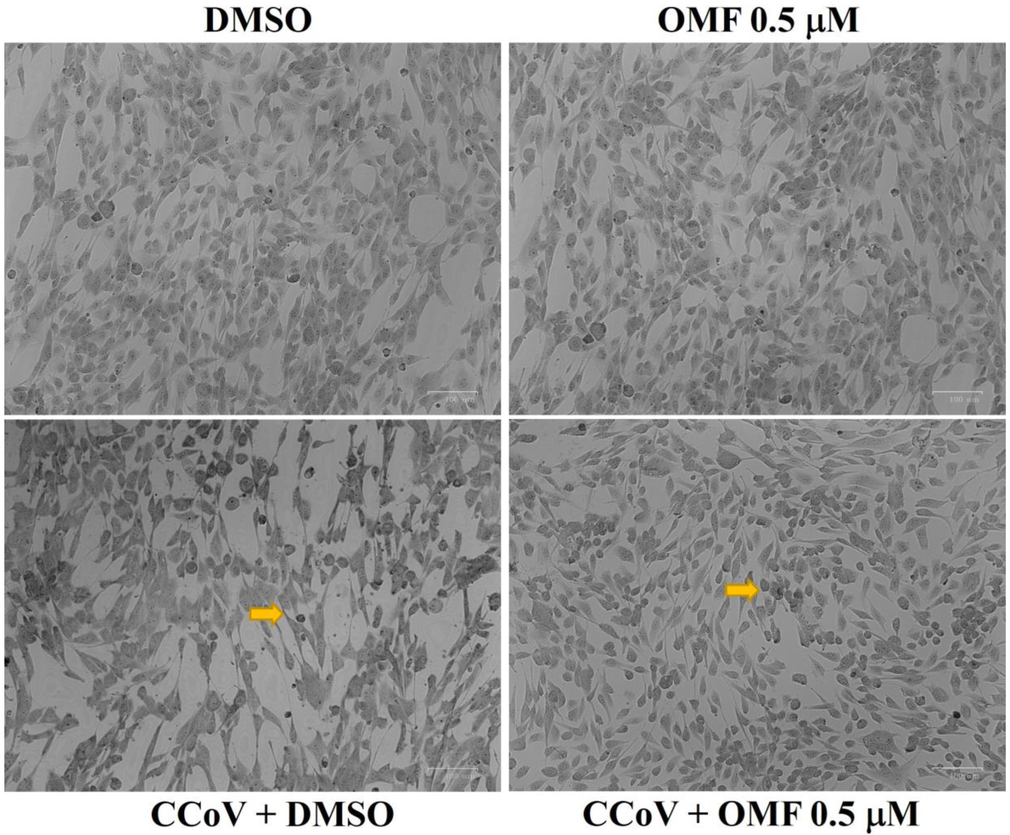 Antibiotics 11 01594 g004