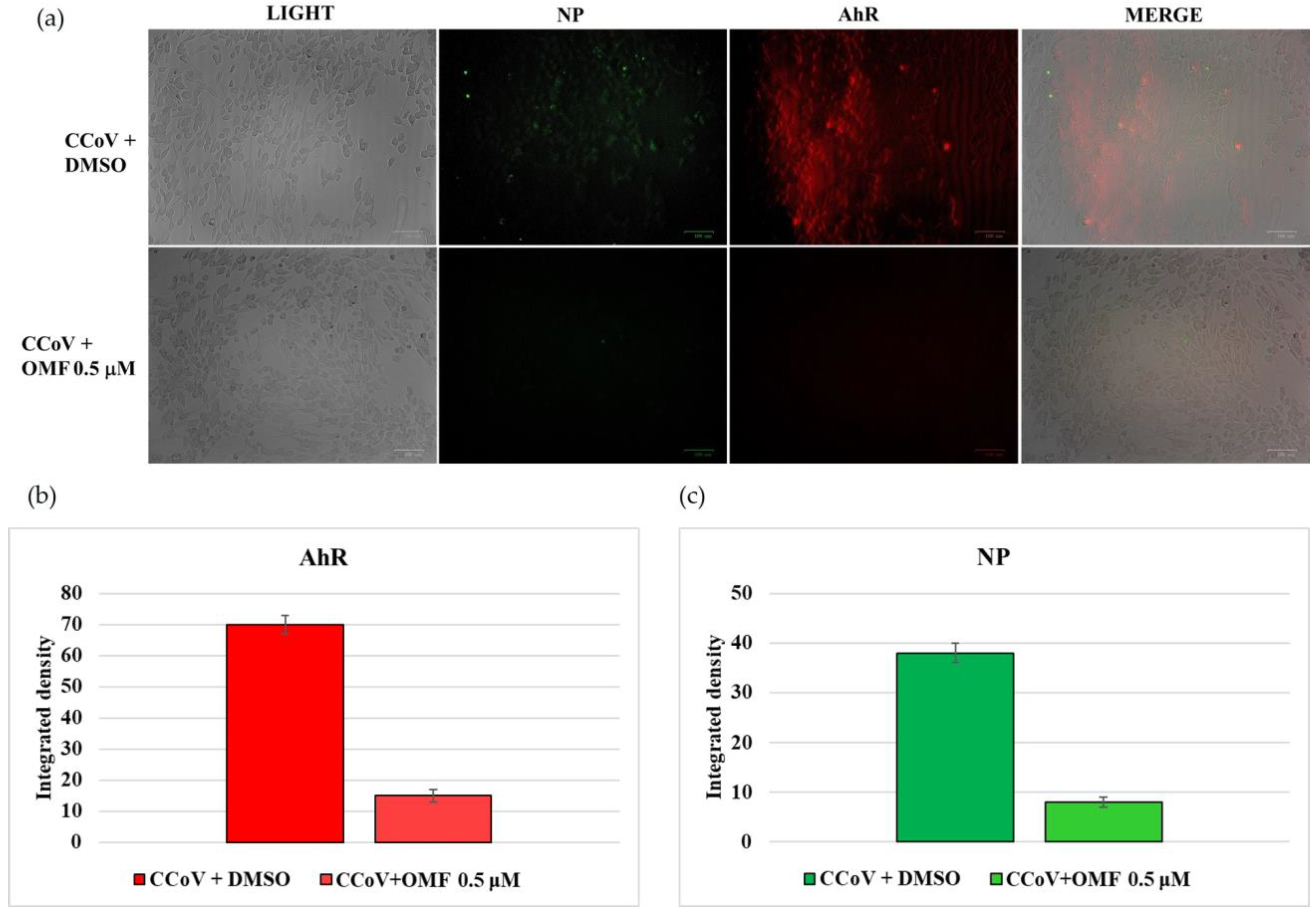 Antibiotics 11 01594 g007