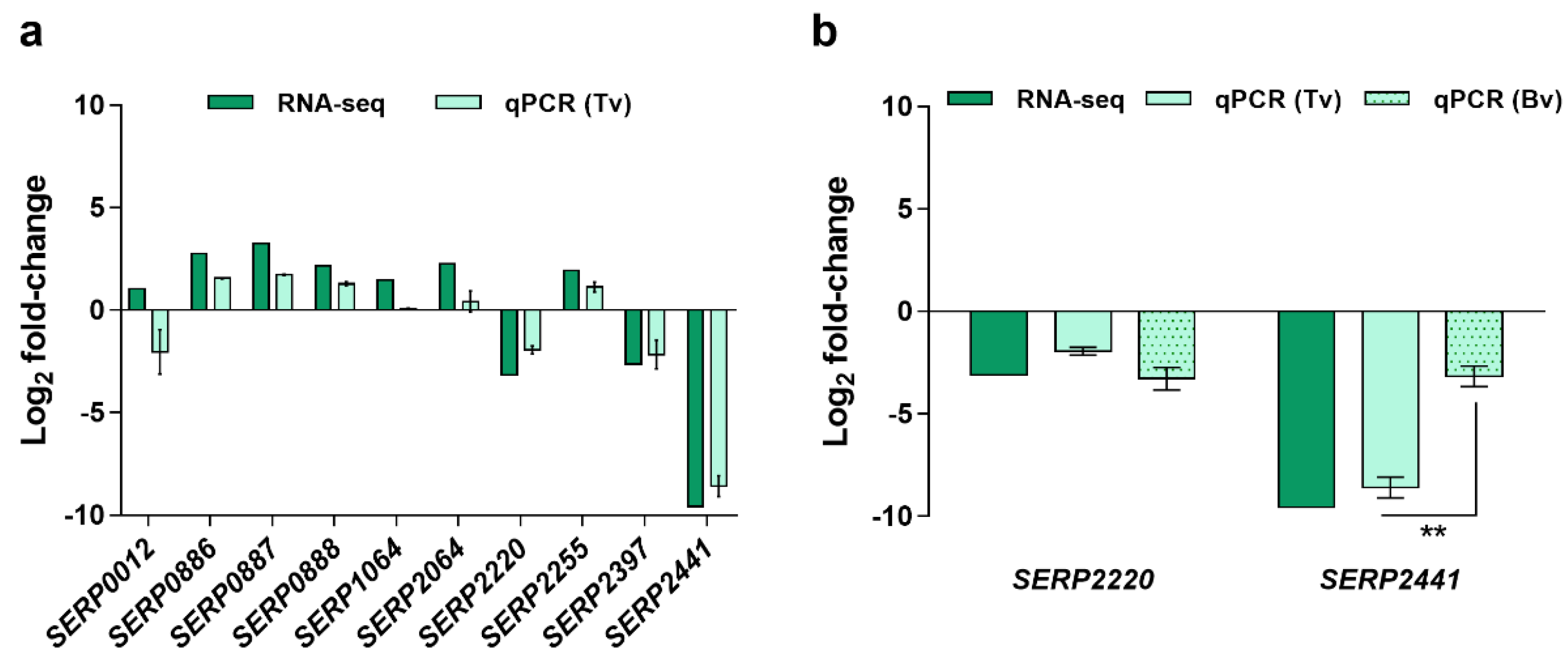 Antibiotics 11 01596 g001