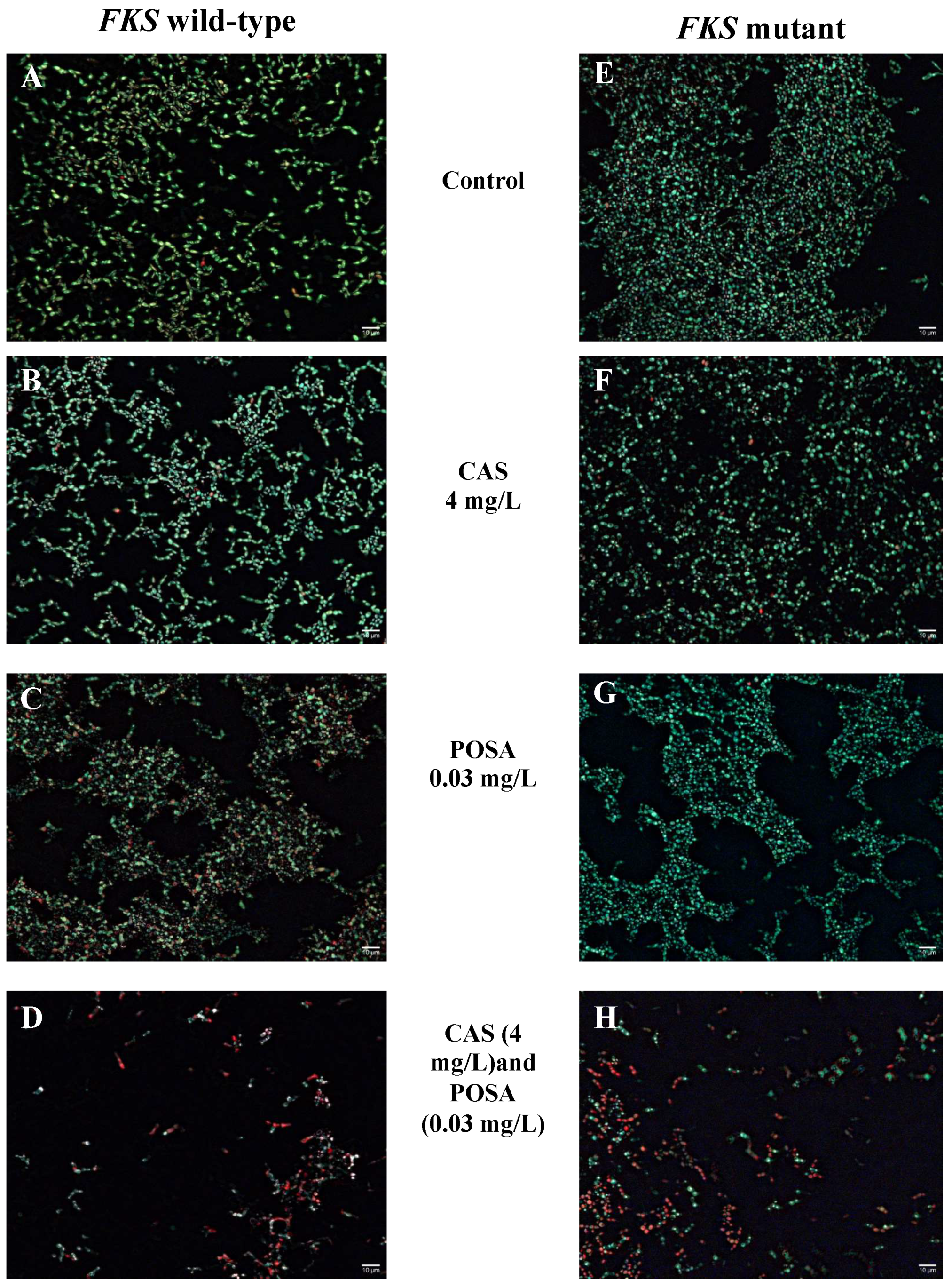 Antibiotics 11 01601 g002 Antibiotics 11 01601 g002